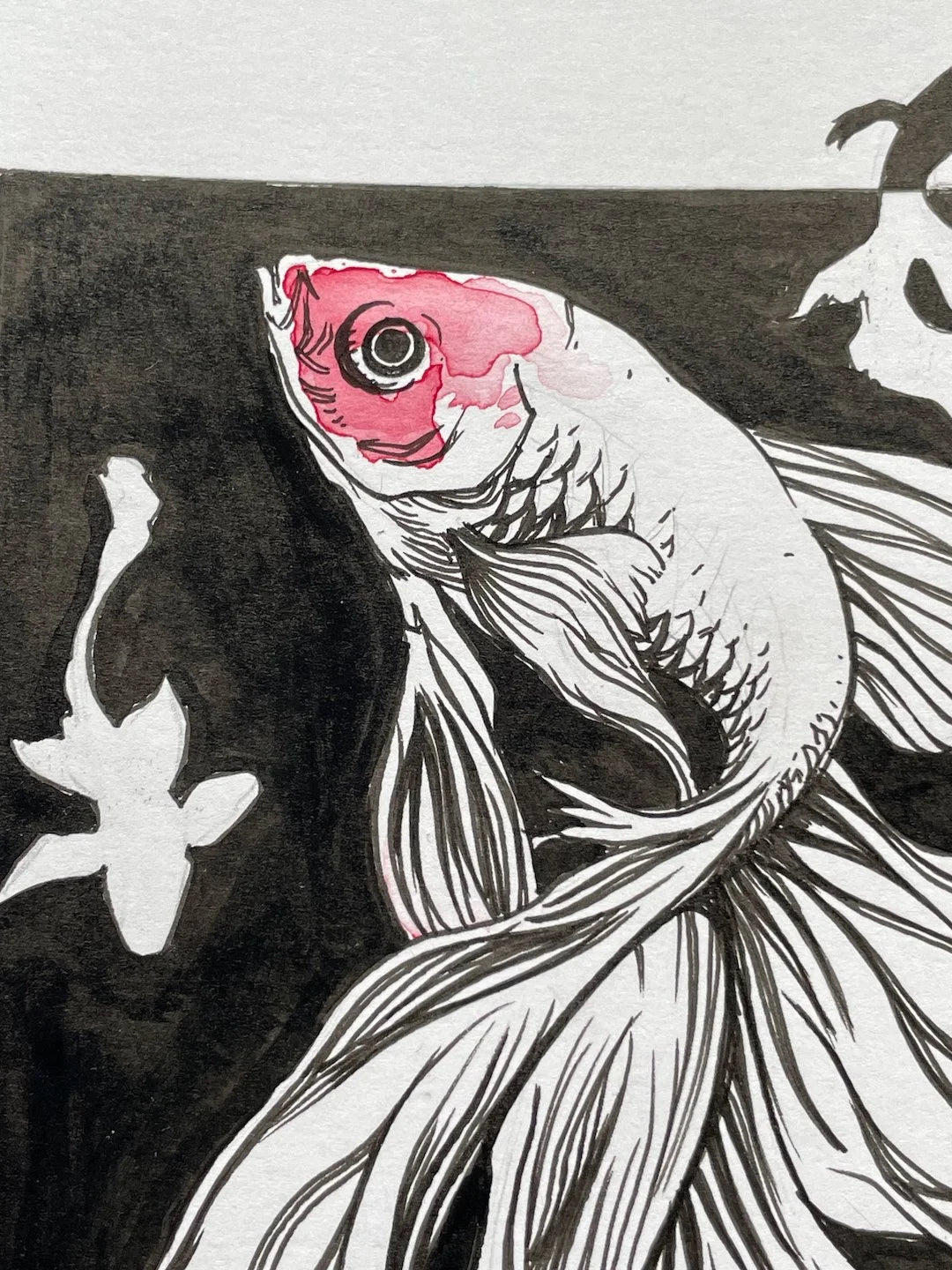 Zooctober 2024, Day 1: “Fish”
