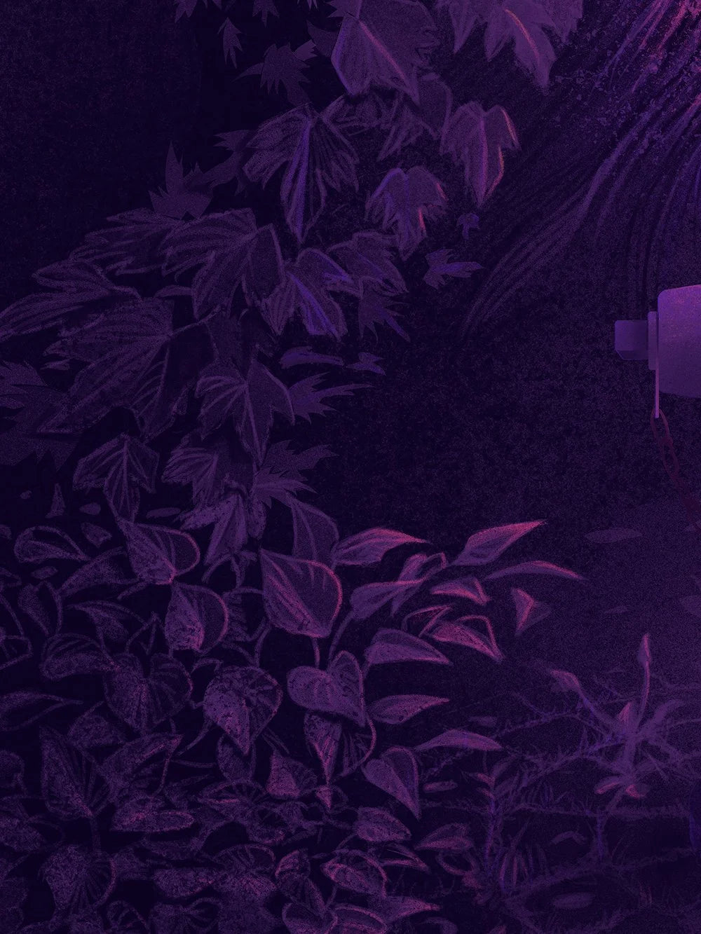 In the land of the lotus eaters...