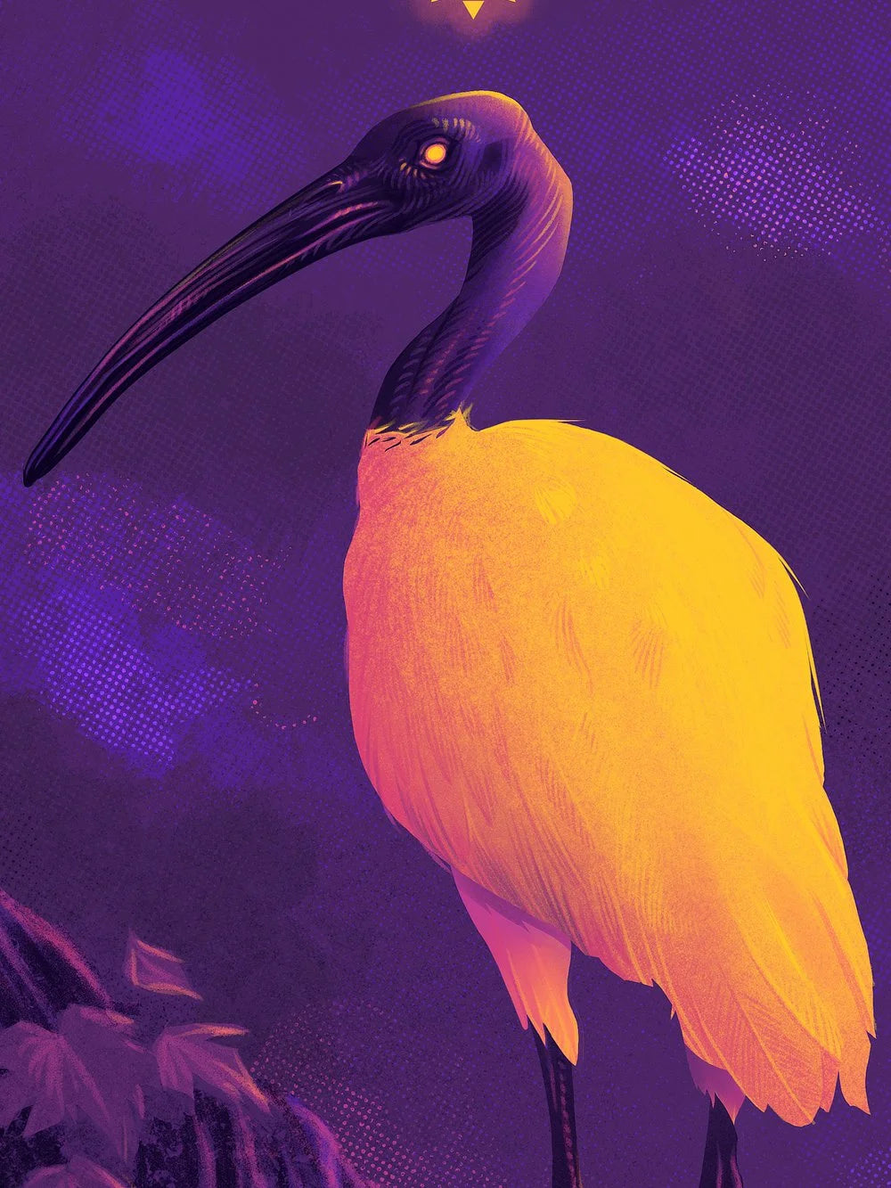 In the land of the lotus eaters...