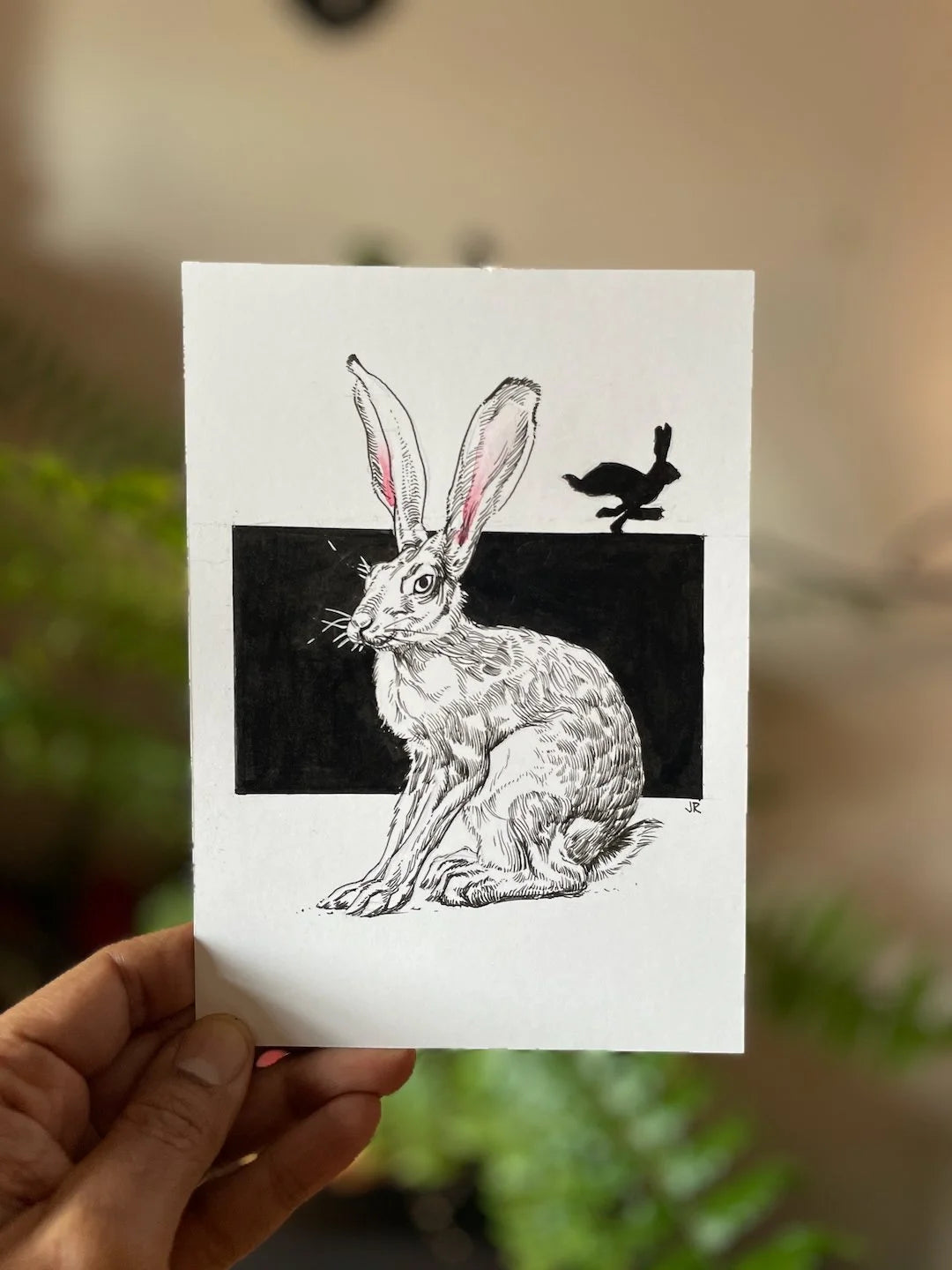 Zooctober 2024, Day 2: “Hare”