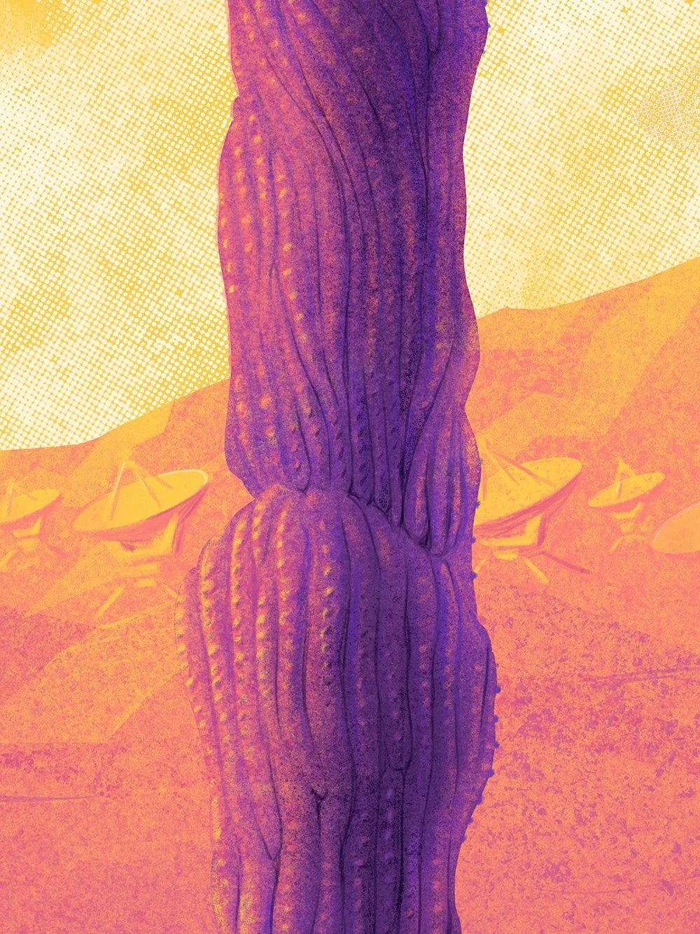 In the Land of the Eternal Sun