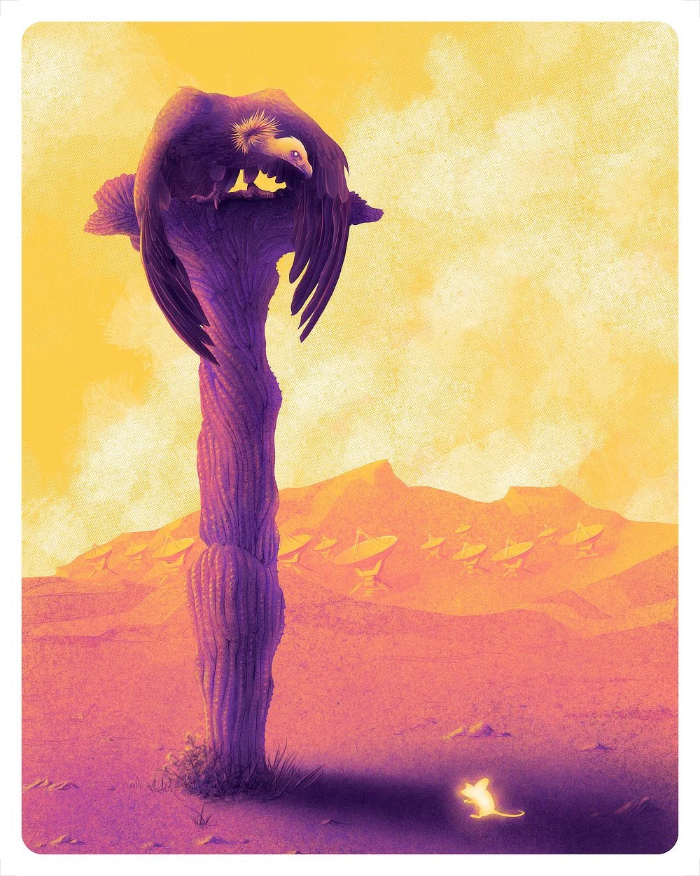 In the Land of the Eternal Sun