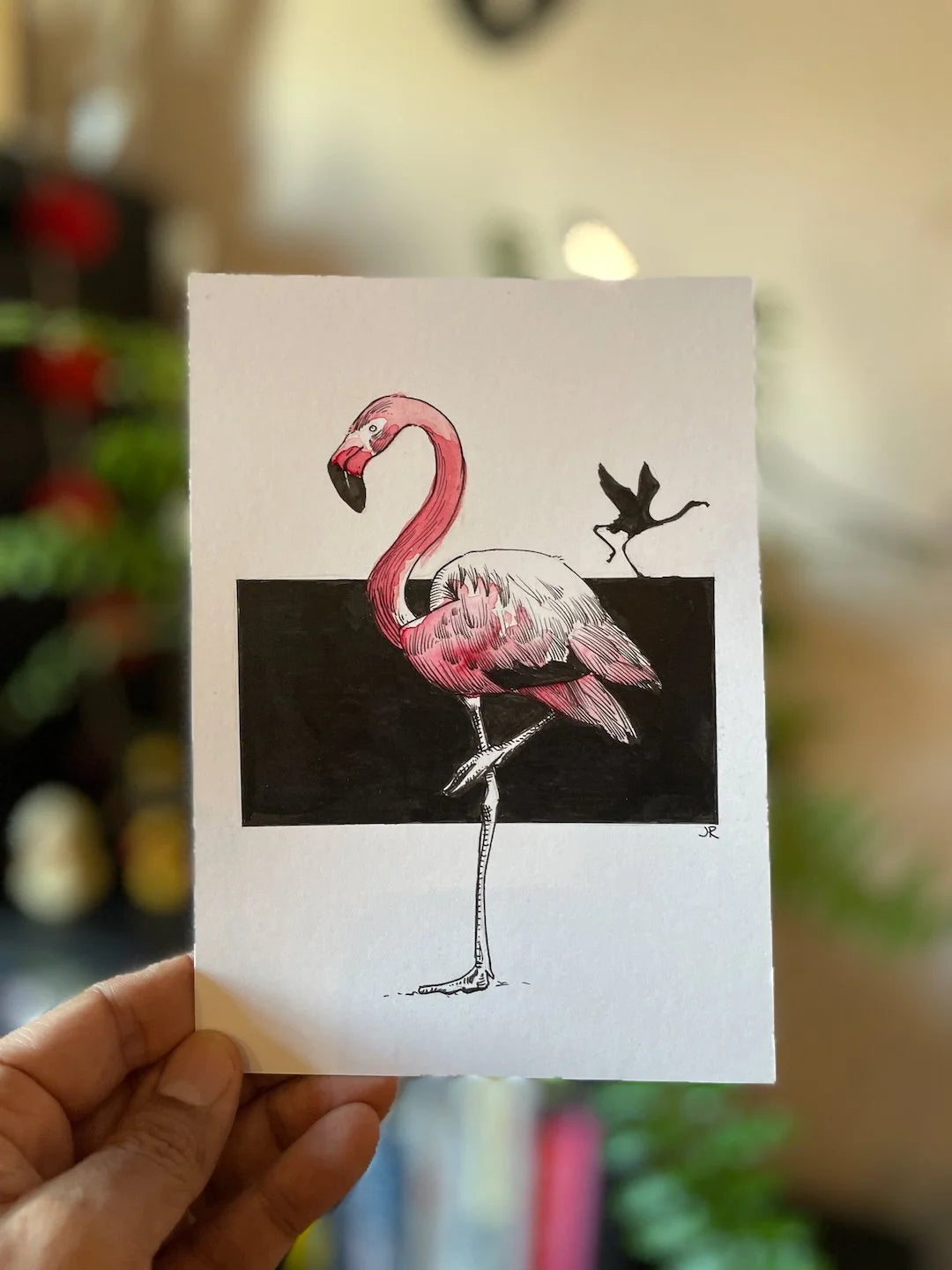 Zooctober 2024, Day 3: “Flamingo”