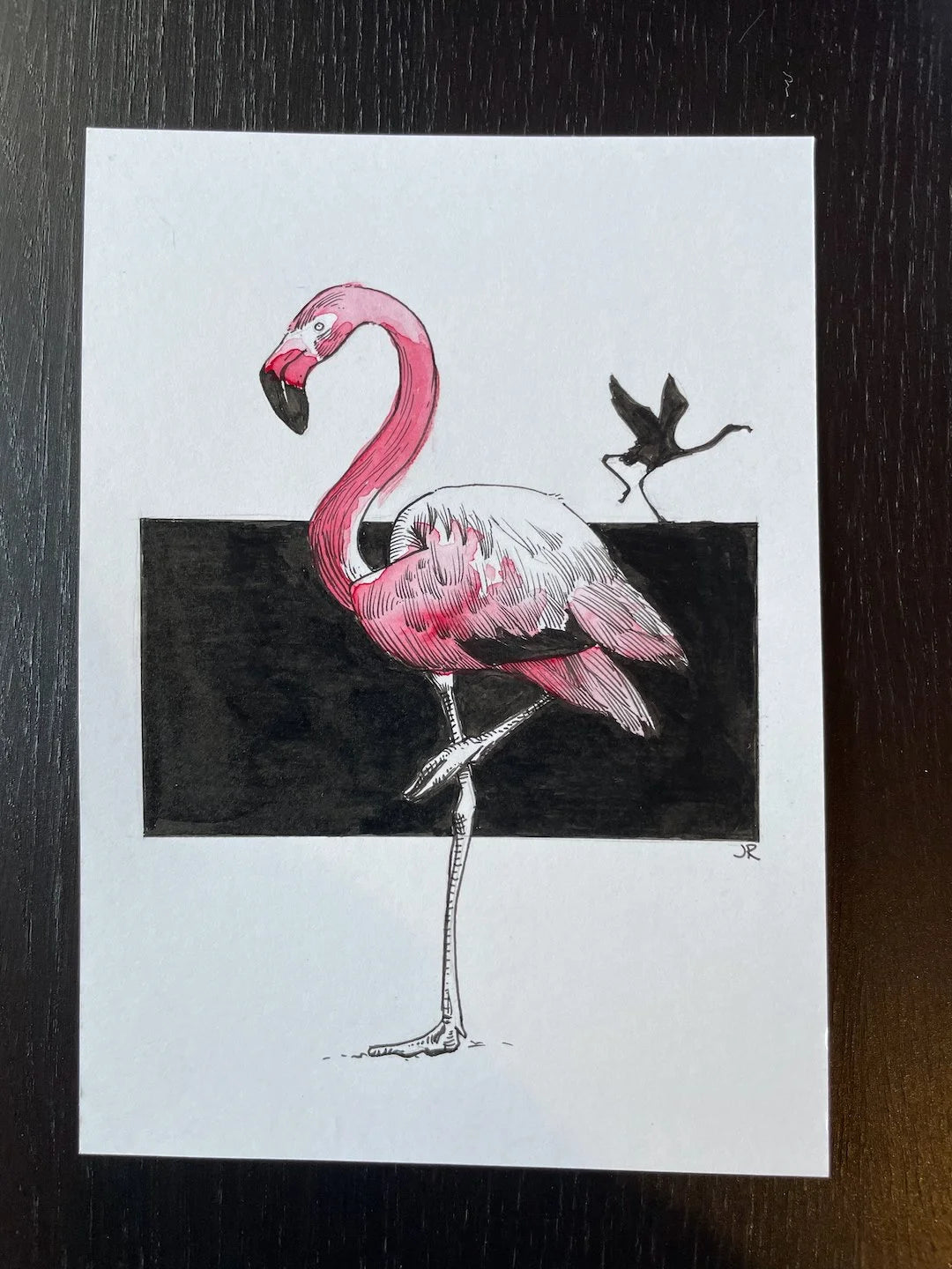 Zooctober 2024, Day 3: “Flamingo”