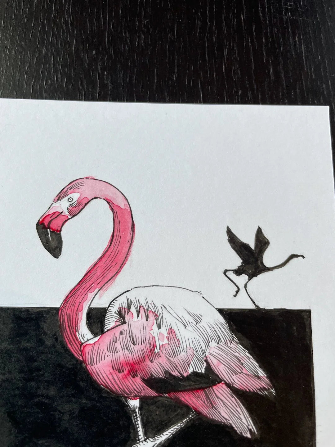 Zooctober 2024, Day 3: “Flamingo”