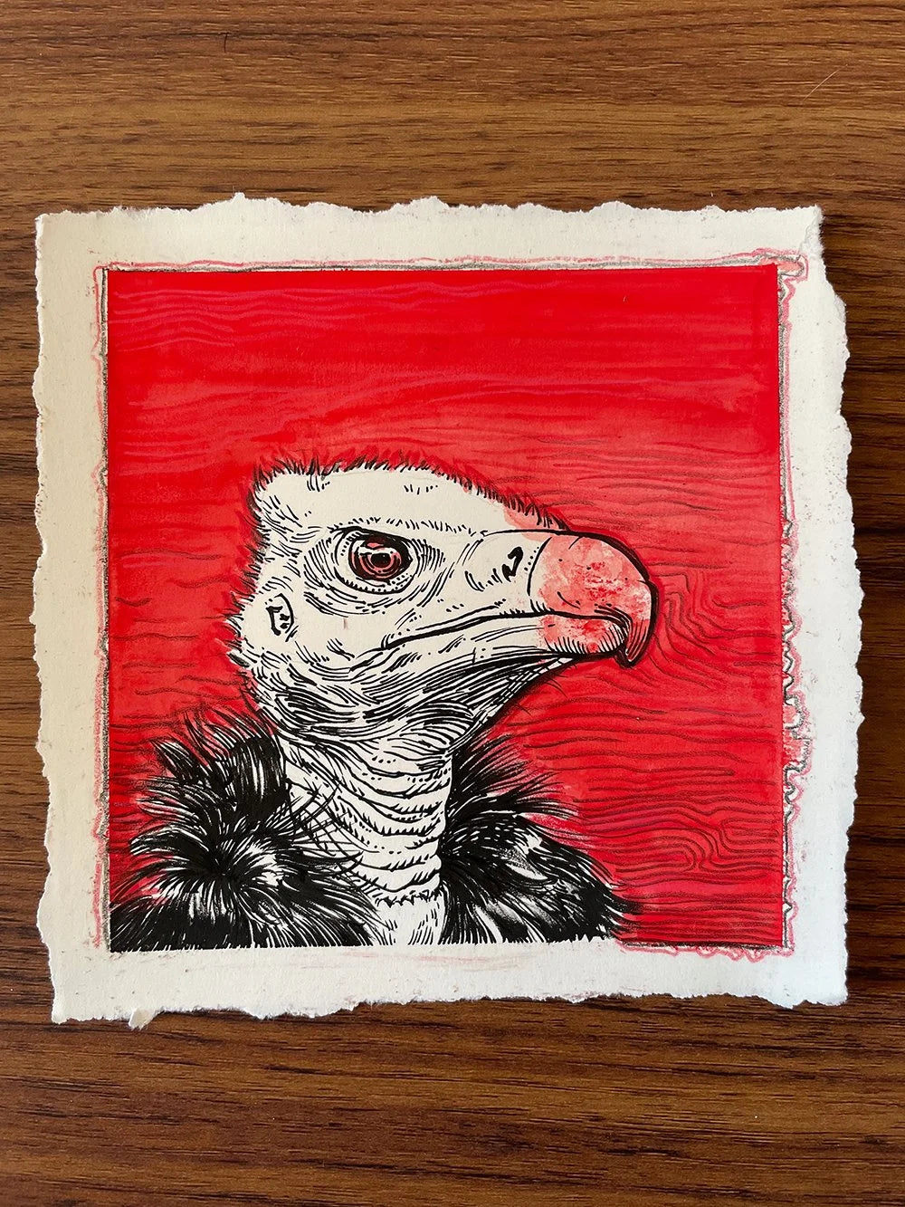 Vulture on Red