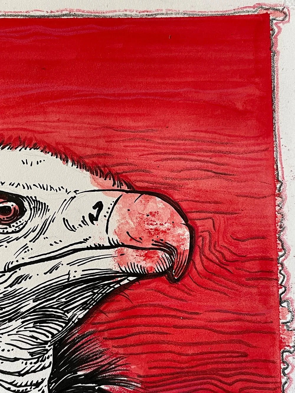 Vulture on Red