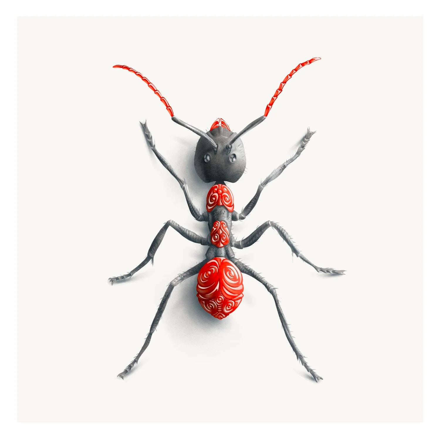 Ant (Candied Critters)