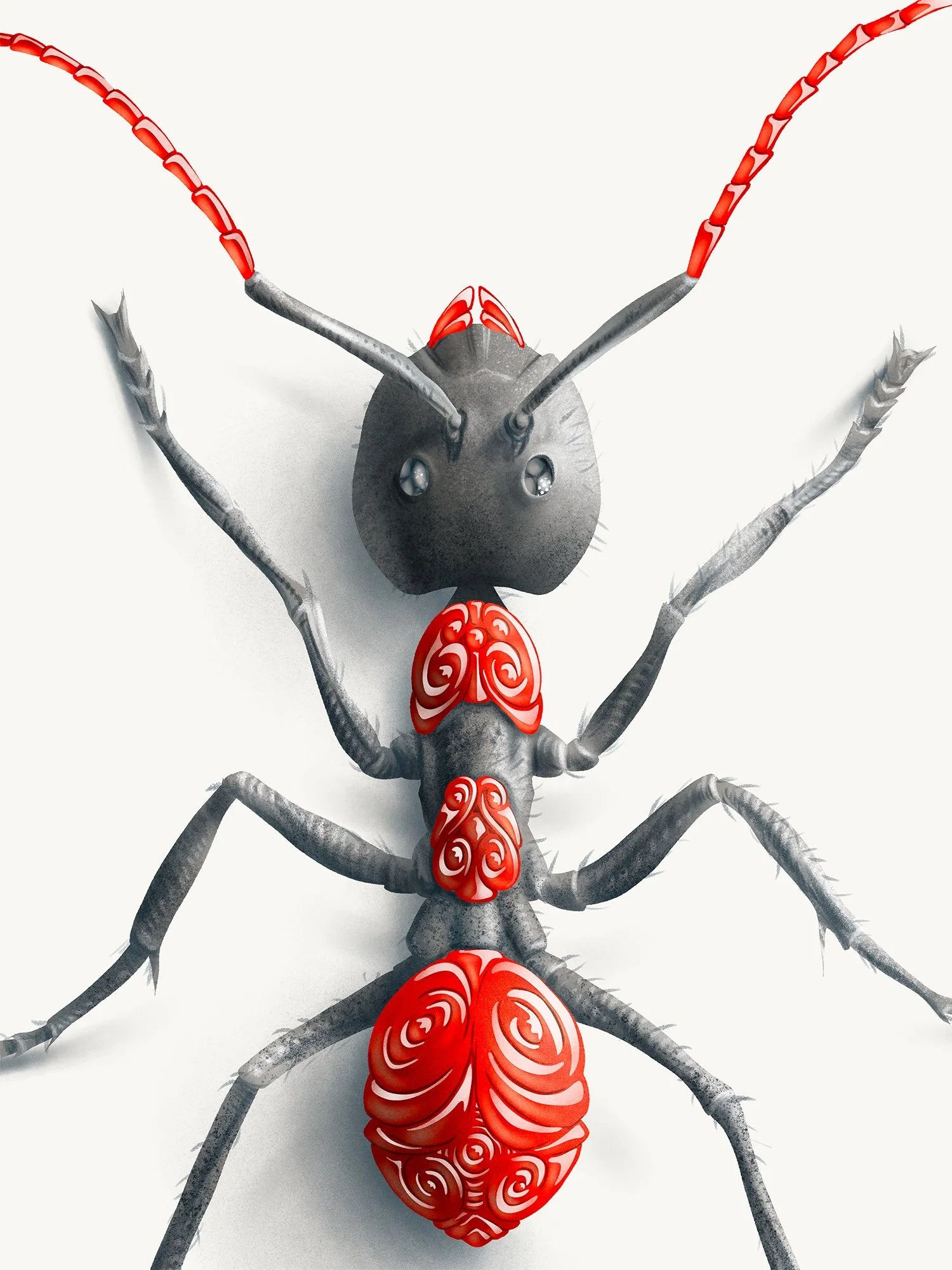 Ant (Candied Critters)