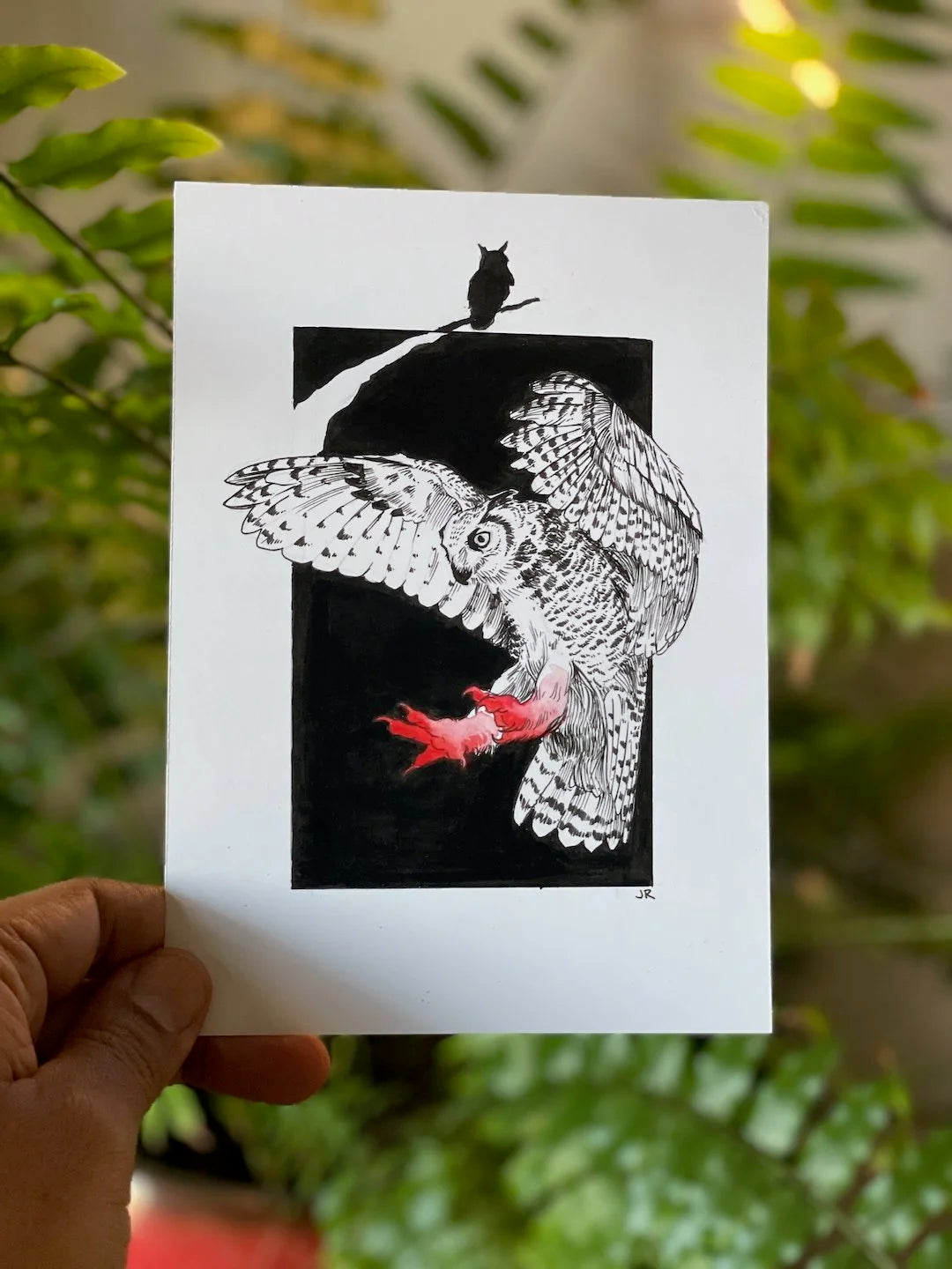 Zooctober 2024, Day 4: “Owl”