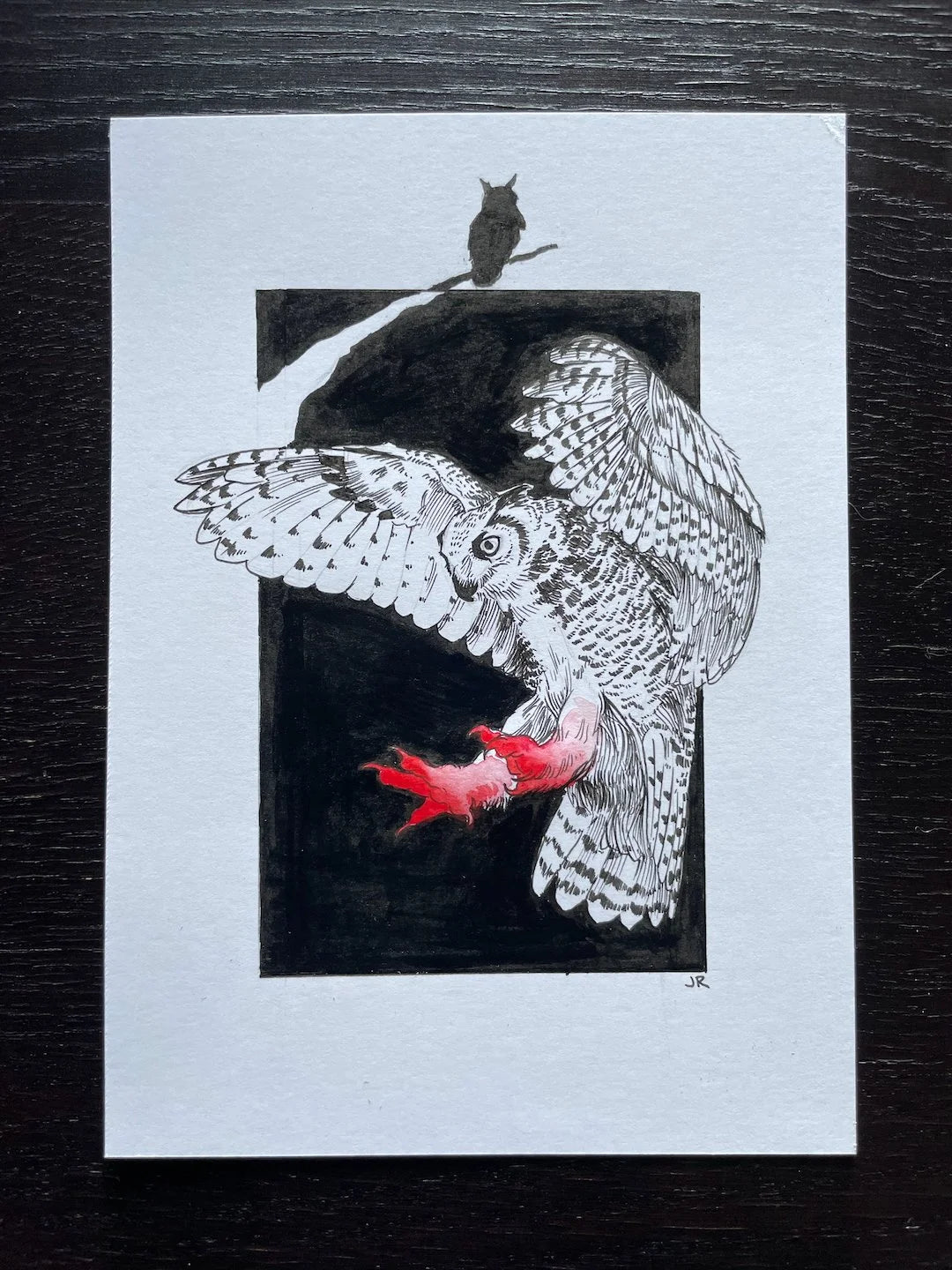 Zooctober 2024, Day 4: “Owl”