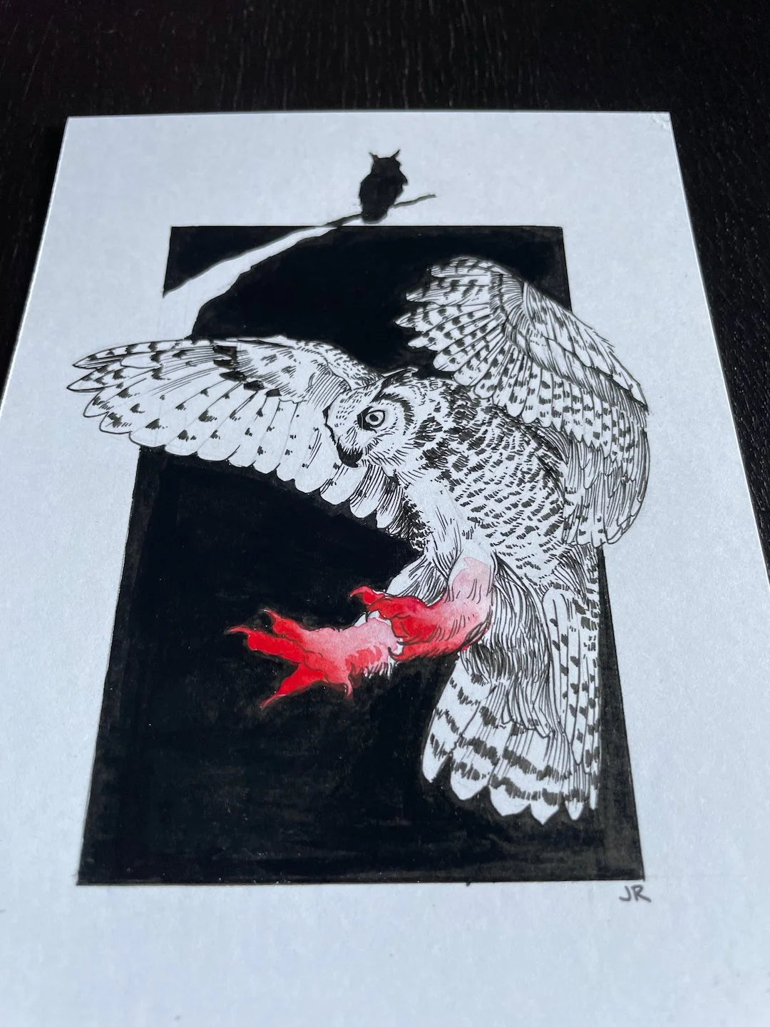 Zooctober 2024, Day 4: “Owl”