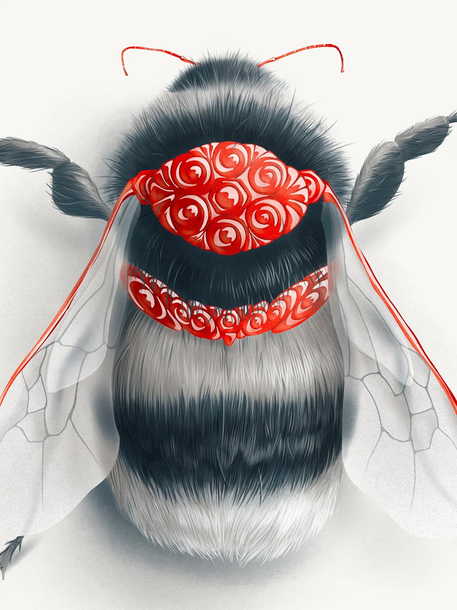 Bee (Candied Critters)