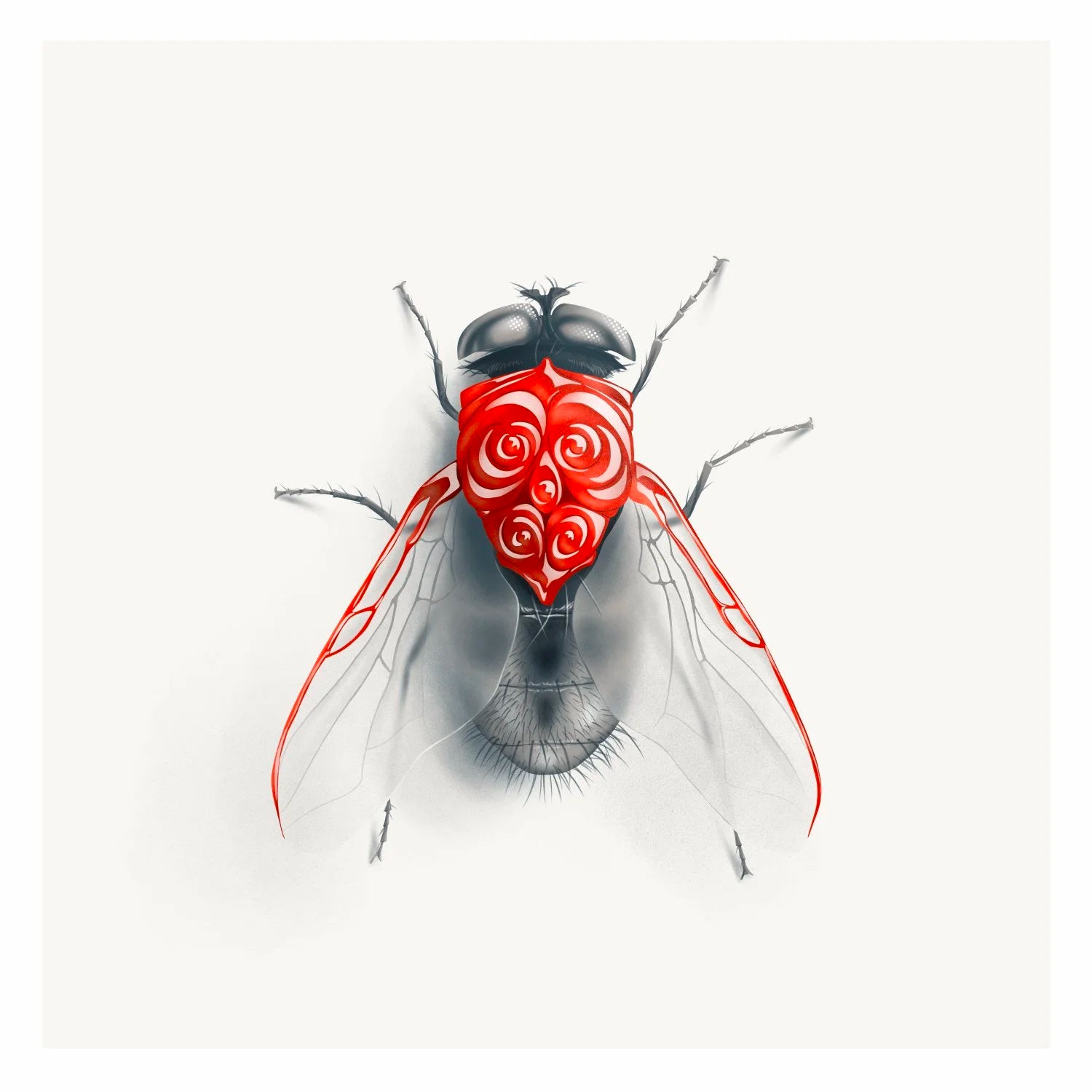 Fly (Candied Critters)