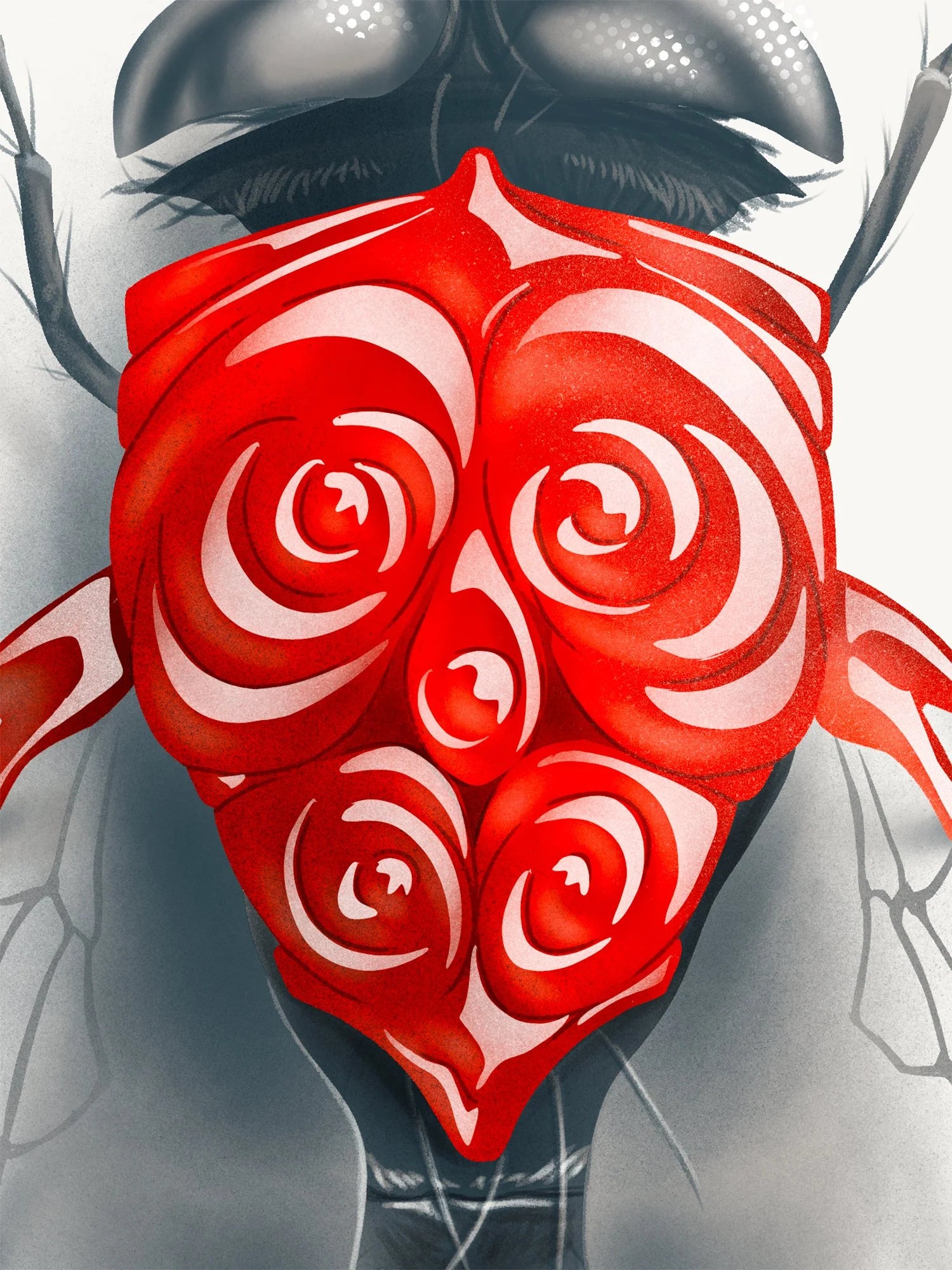 Fly (Candied Critters)