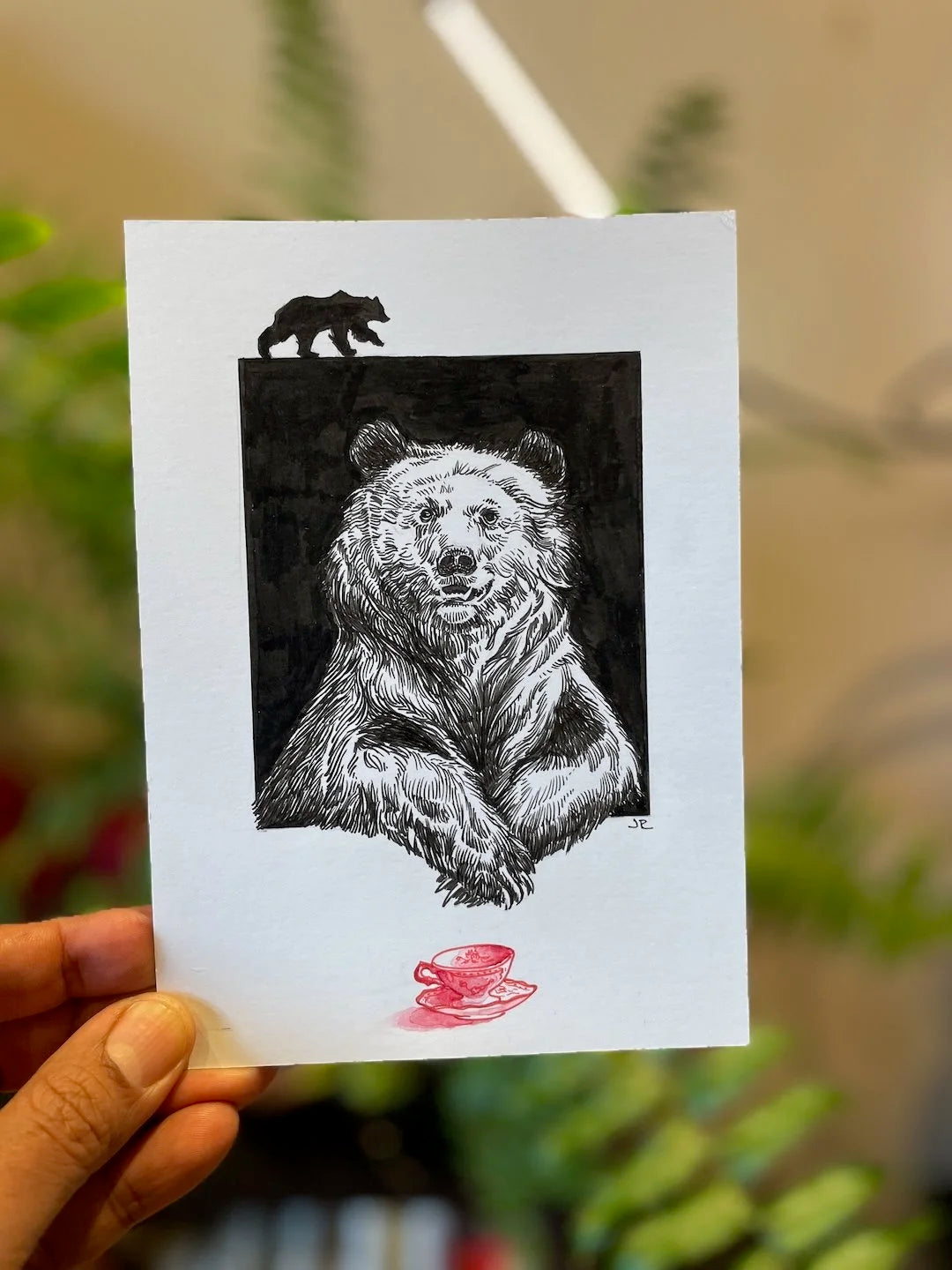 Zooctober 2024, Day 7: “Bear”