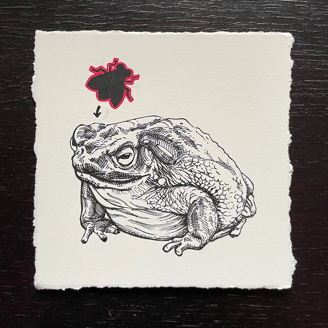 Toad