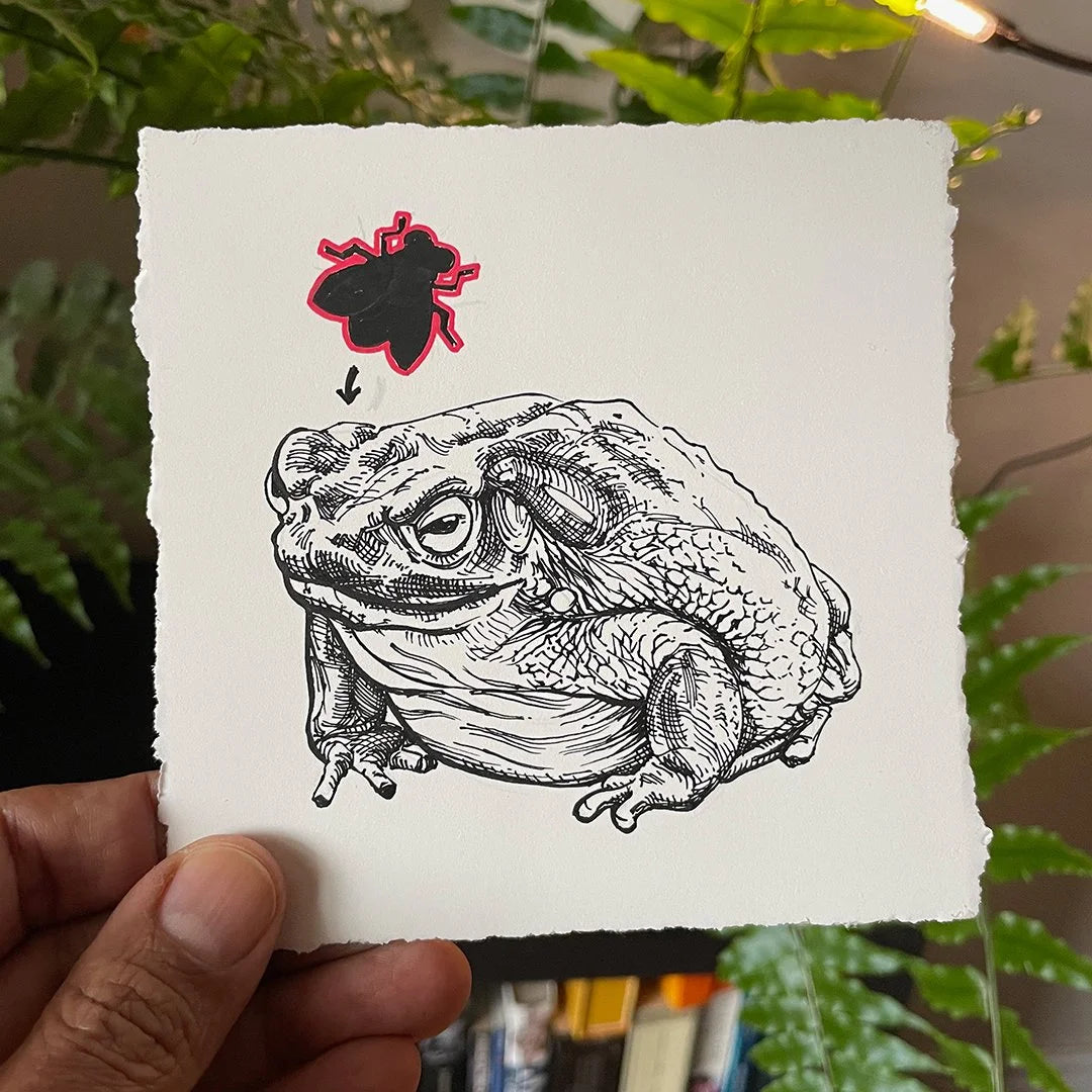 Toad