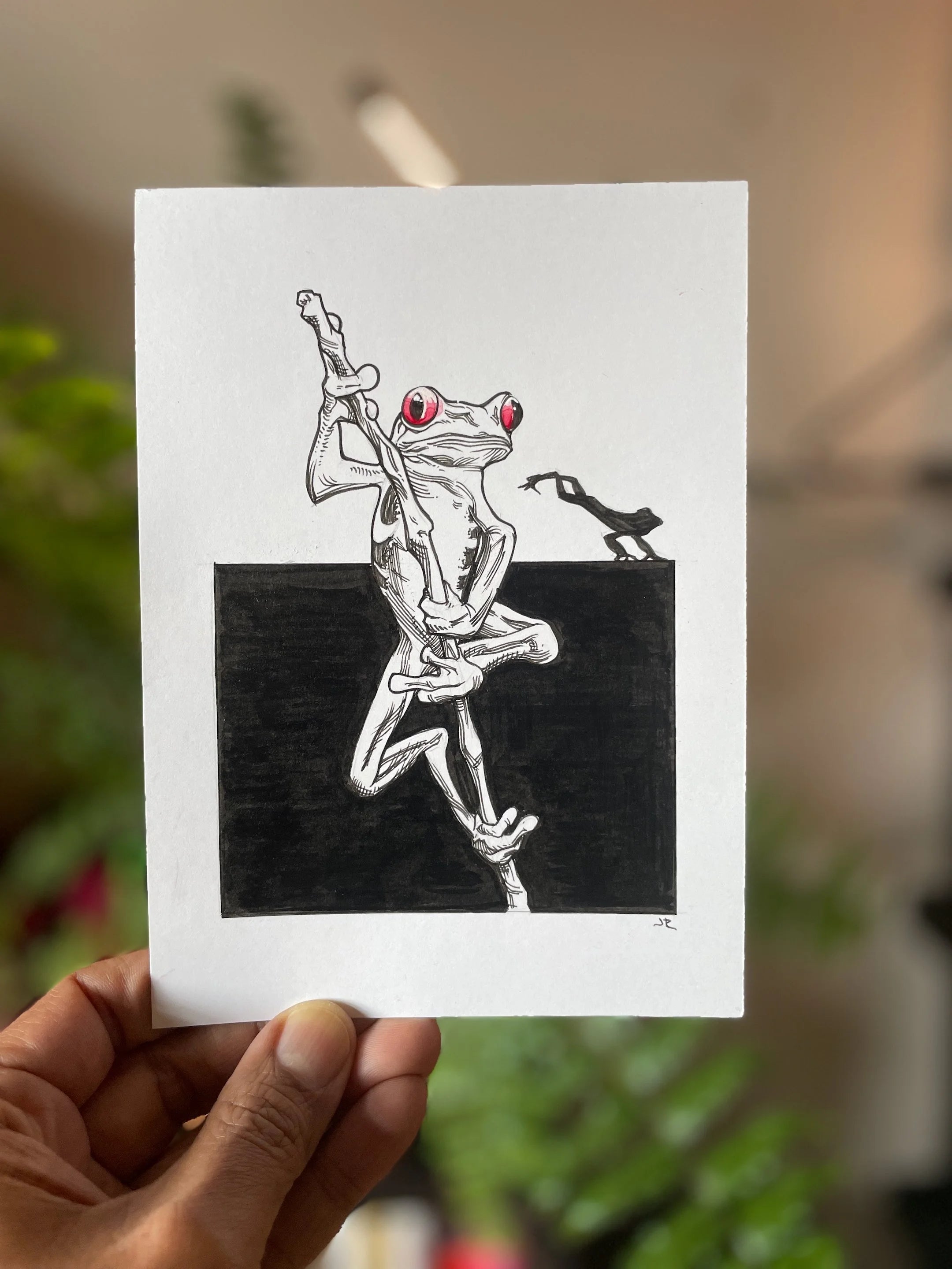 Zooctober 2024, Day 9: “Frog”