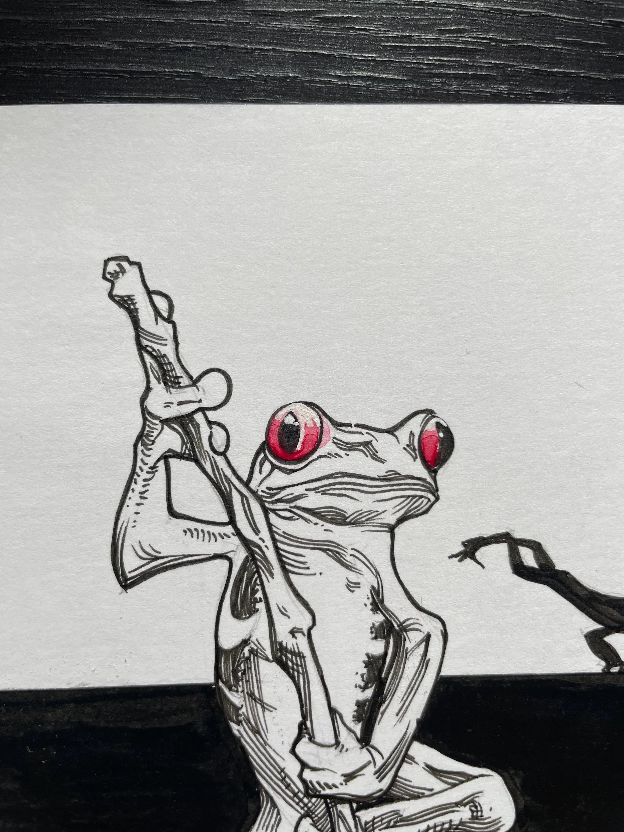 Zooctober 2024, Day 9: “Frog”