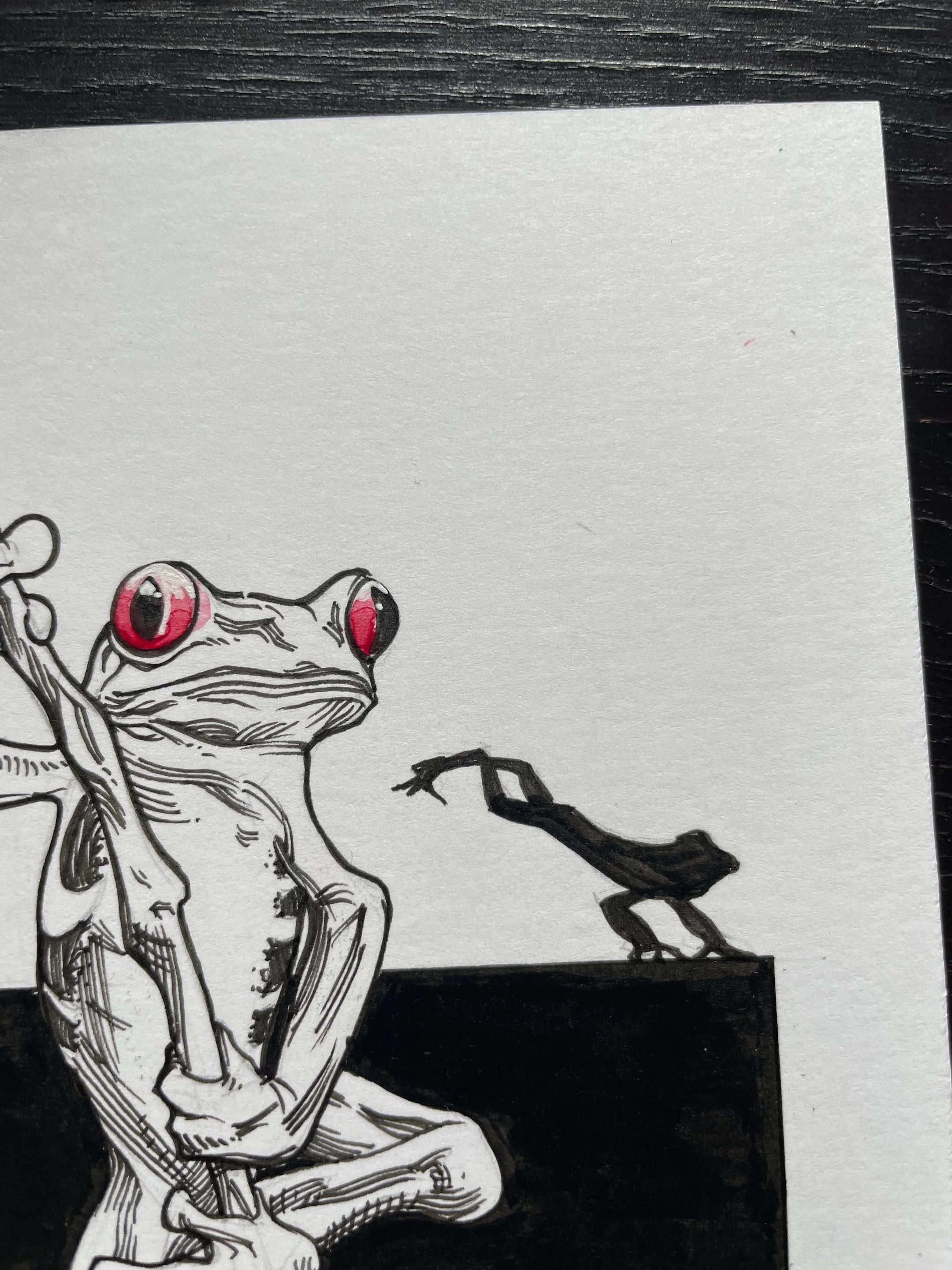 Zooctober 2024, Day 9: “Frog”
