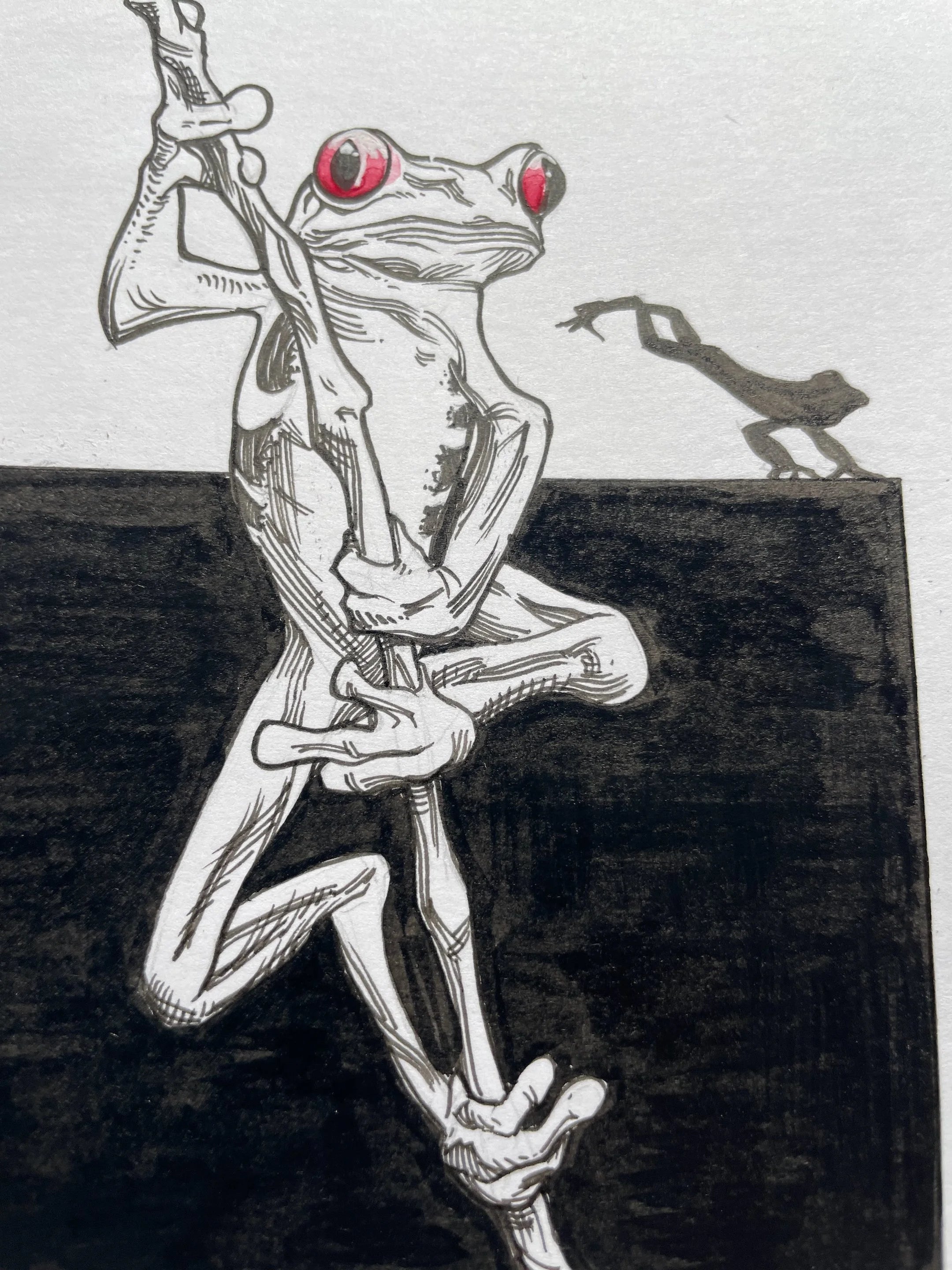 Zooctober 2024, Day 9: “Frog”