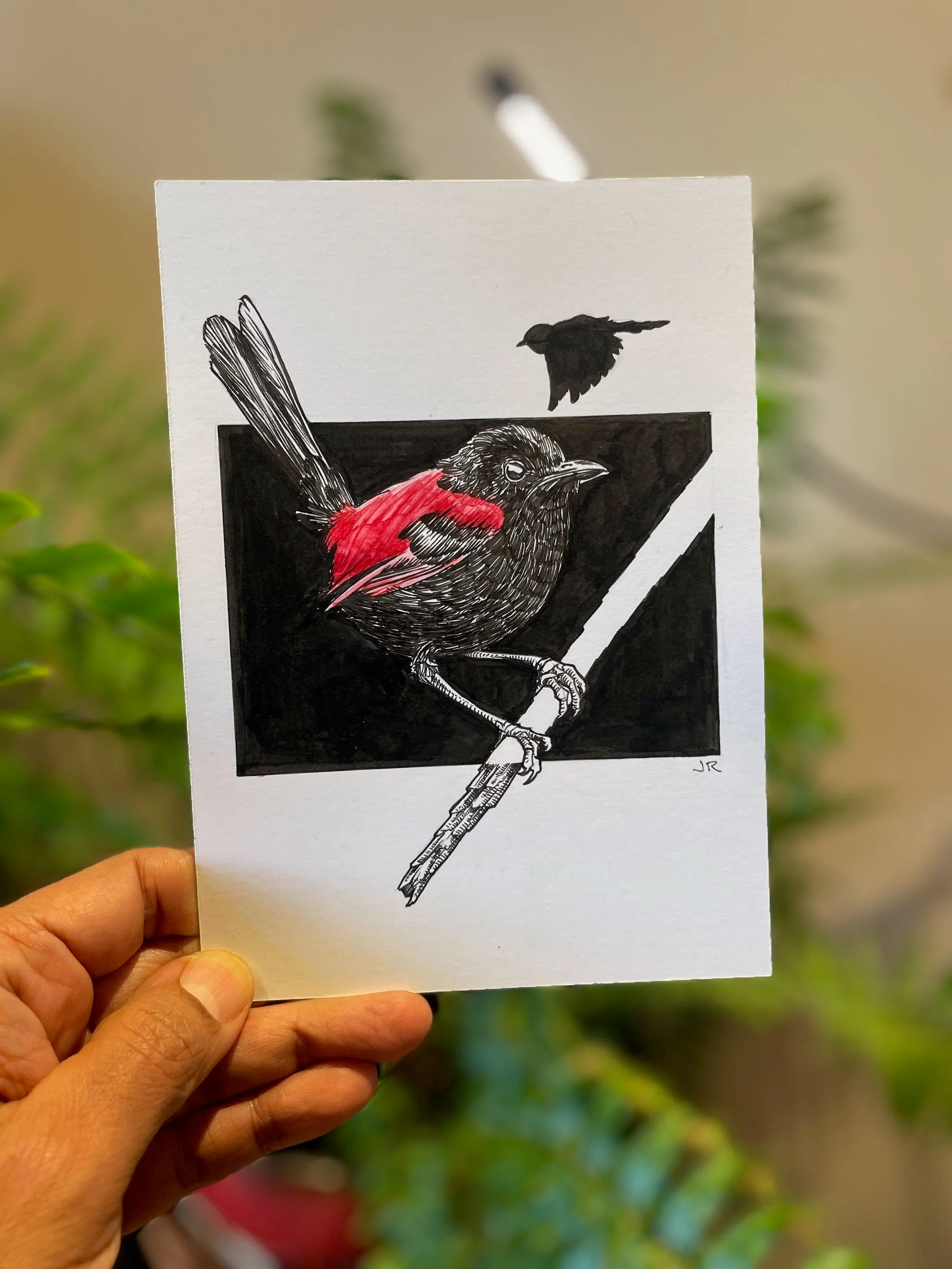 Zooctober 2024, Day 11: “Red-Backed Fairy Wren”