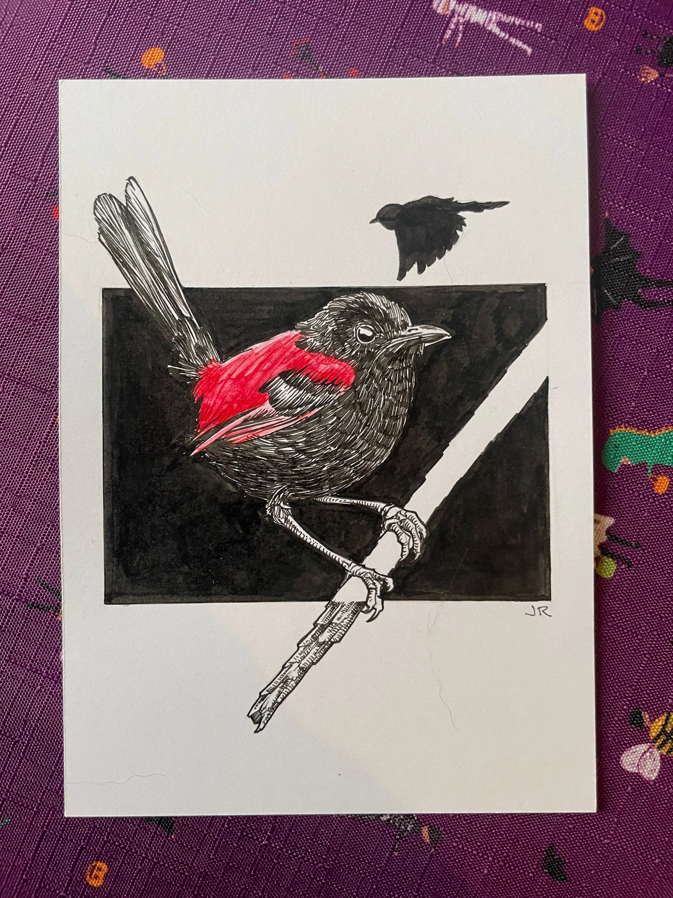 Zooctober 2024, Day 11: “Red-Backed Fairy Wren”