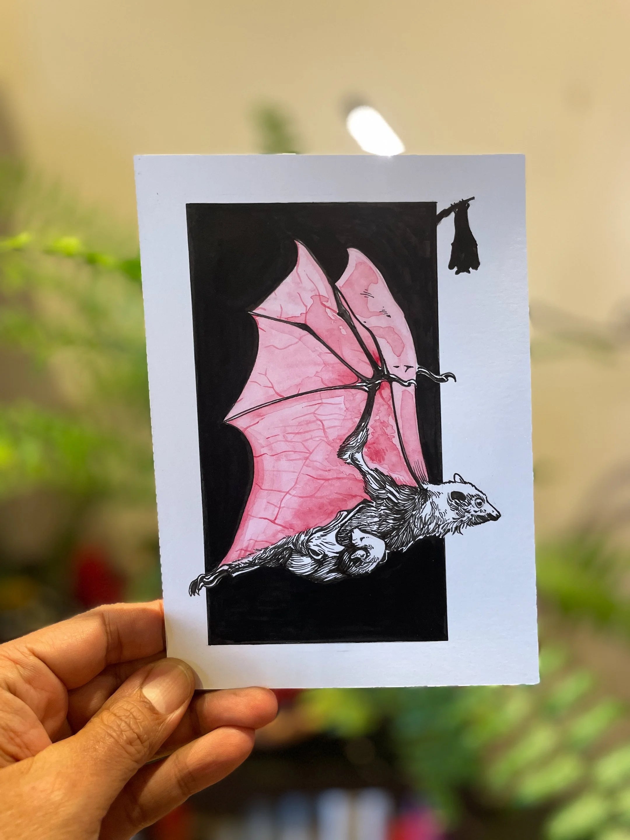 Zooctober 2024, Day 13: “Bat”