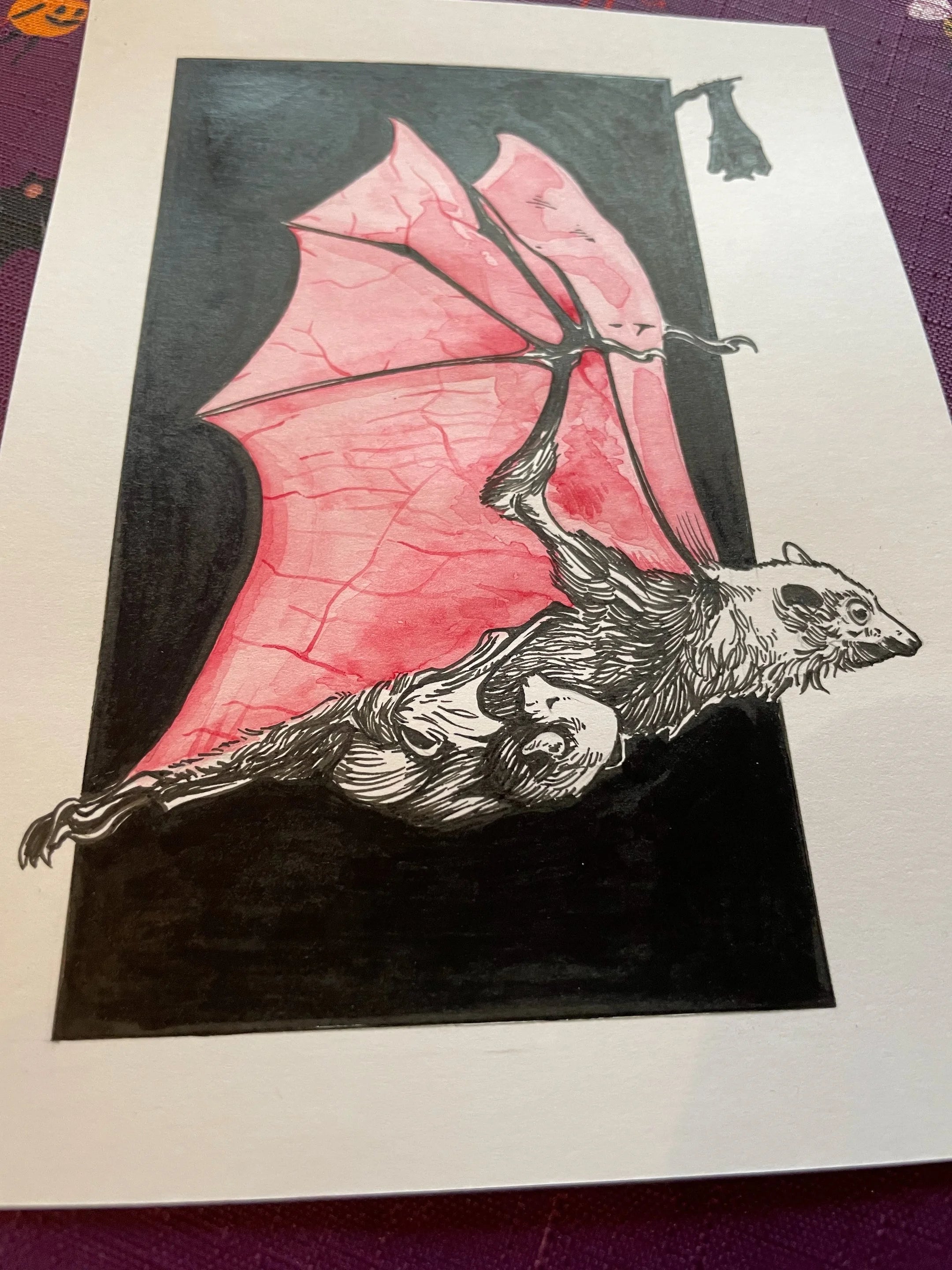 Zooctober 2024, Day 13: “Bat”