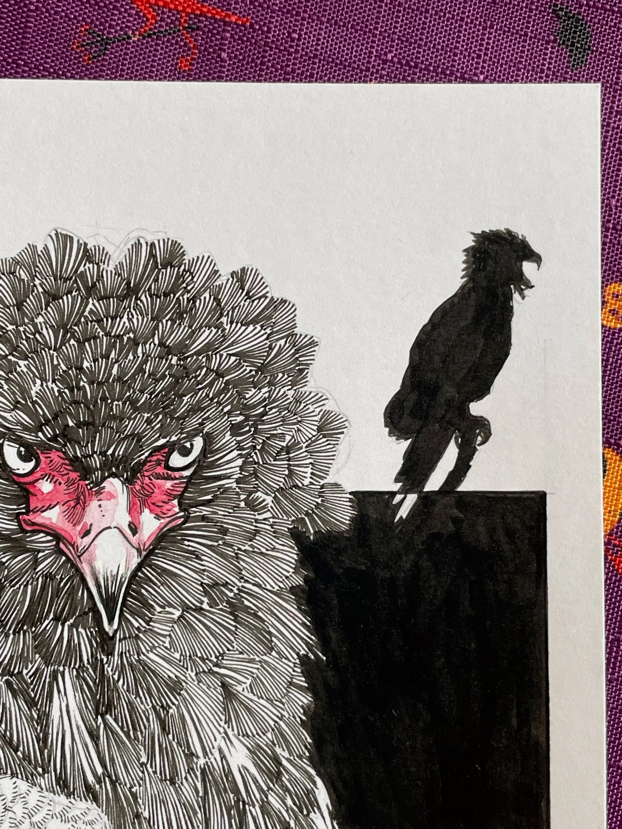 Zooctober 2024, Day 16: “Bateleur Eagle”