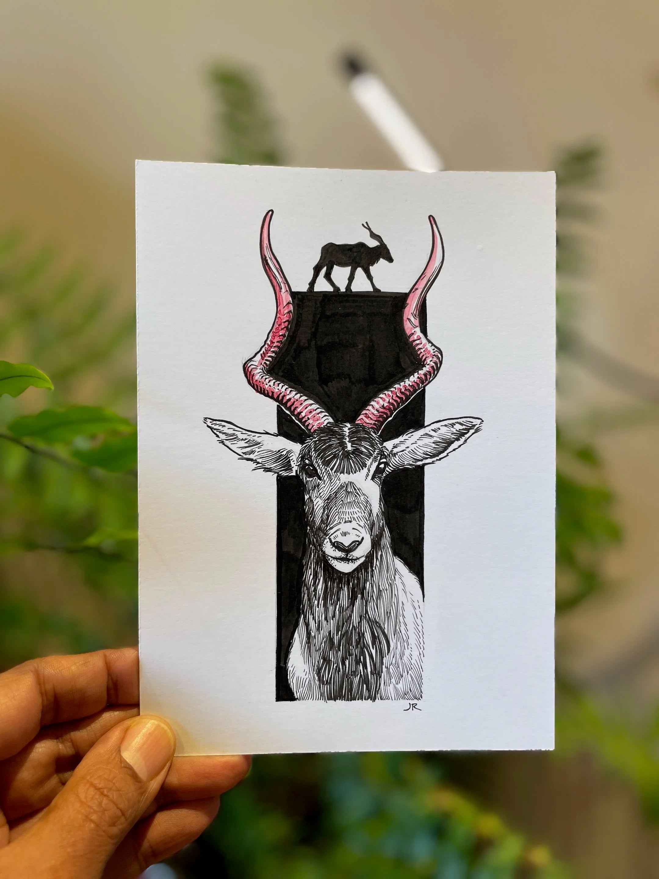 Zooctober 2024, Day 17: “Addax”