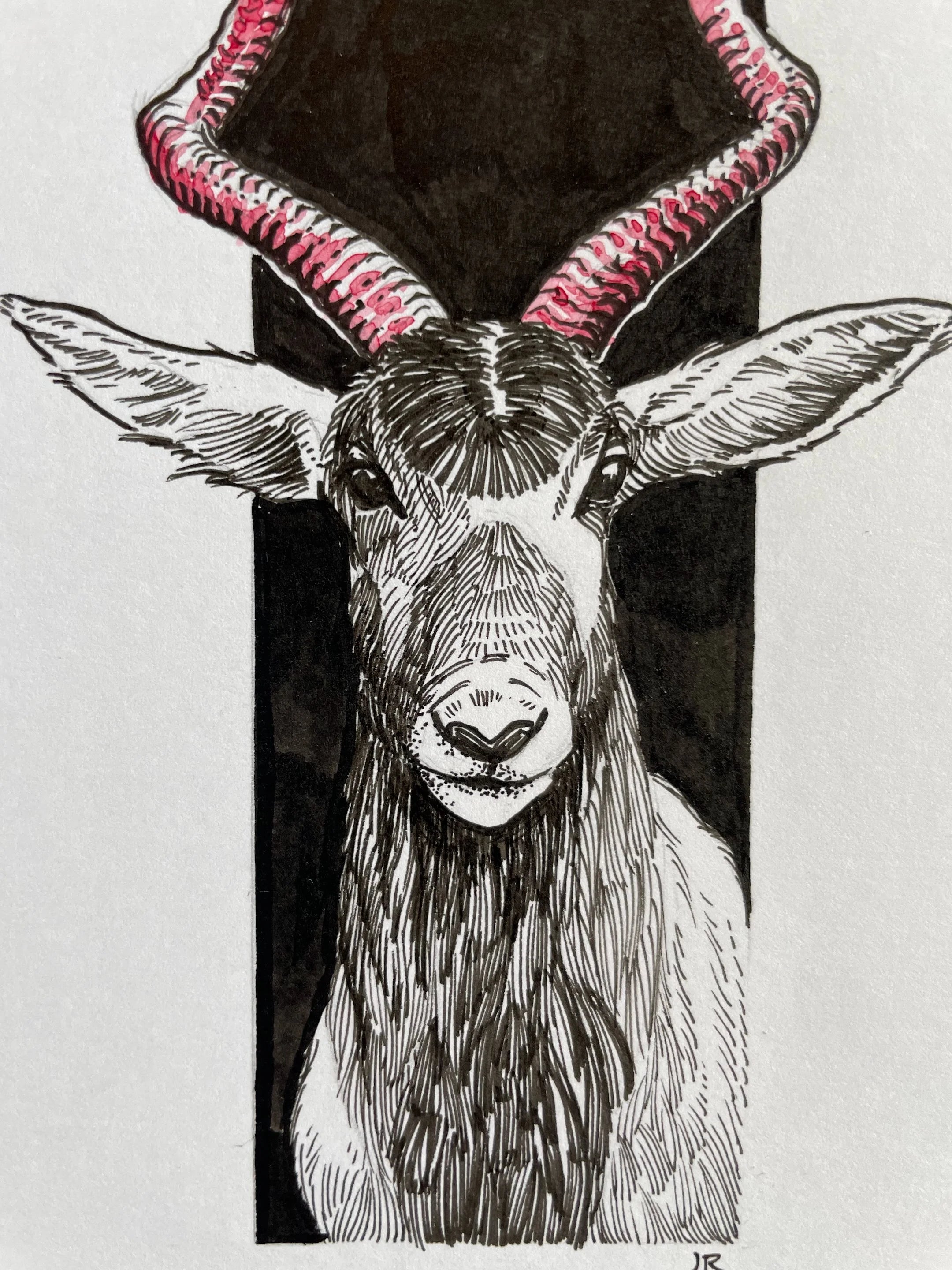 Zooctober 2024, Day 17: “Addax”