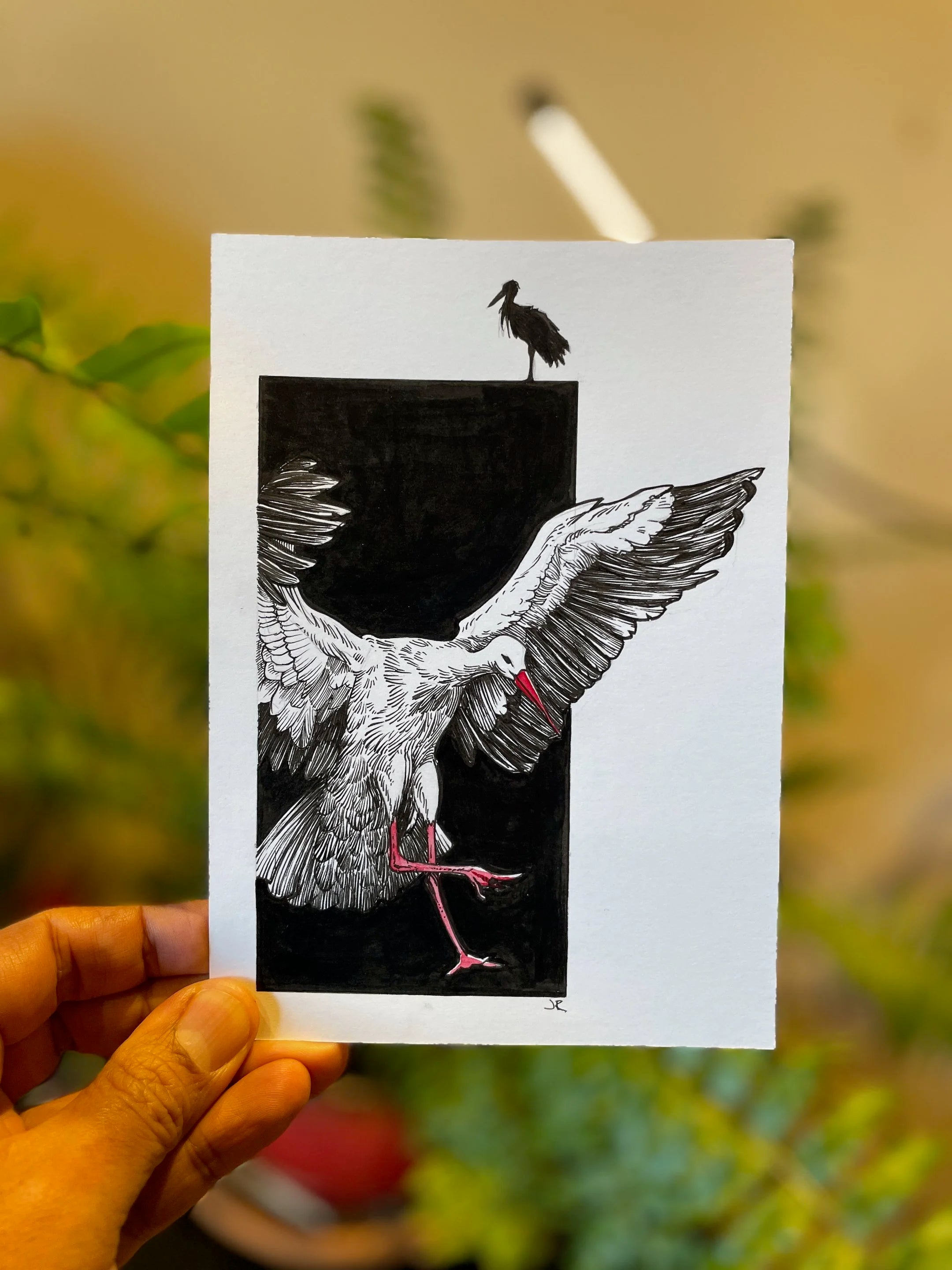 Zooctober 2024, Day 18: “Stork”