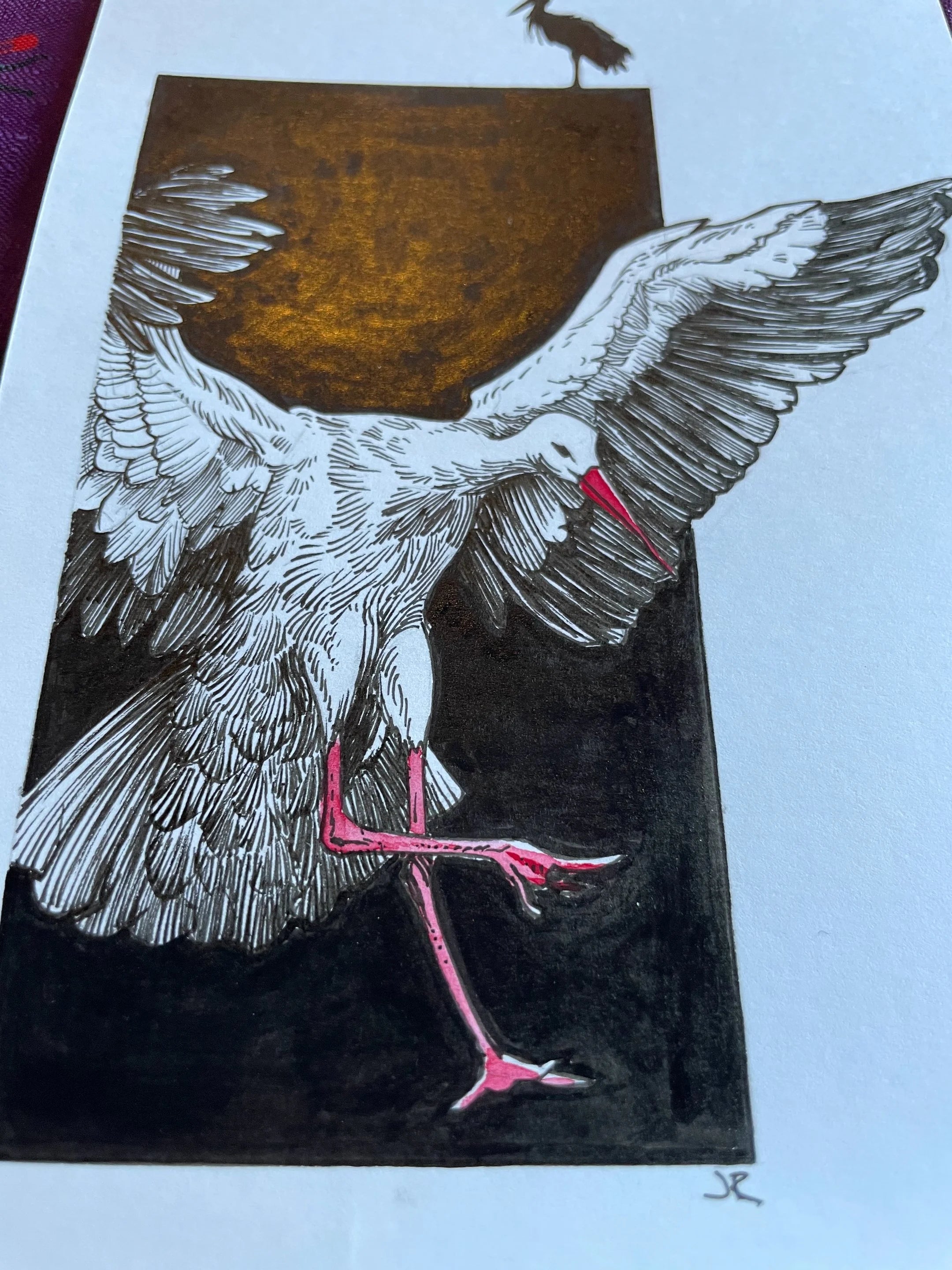 Zooctober 2024, Day 18: “Stork”