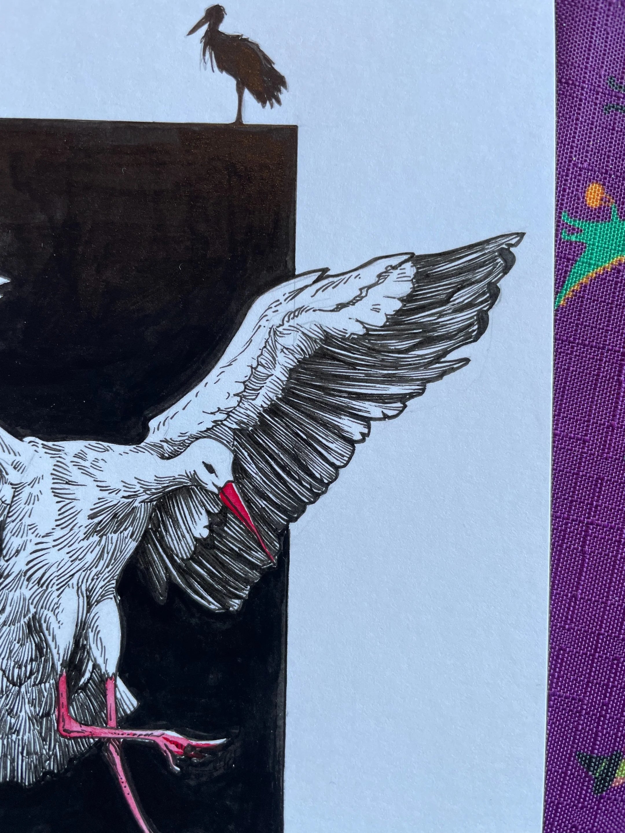 Zooctober 2024, Day 18: “Stork”