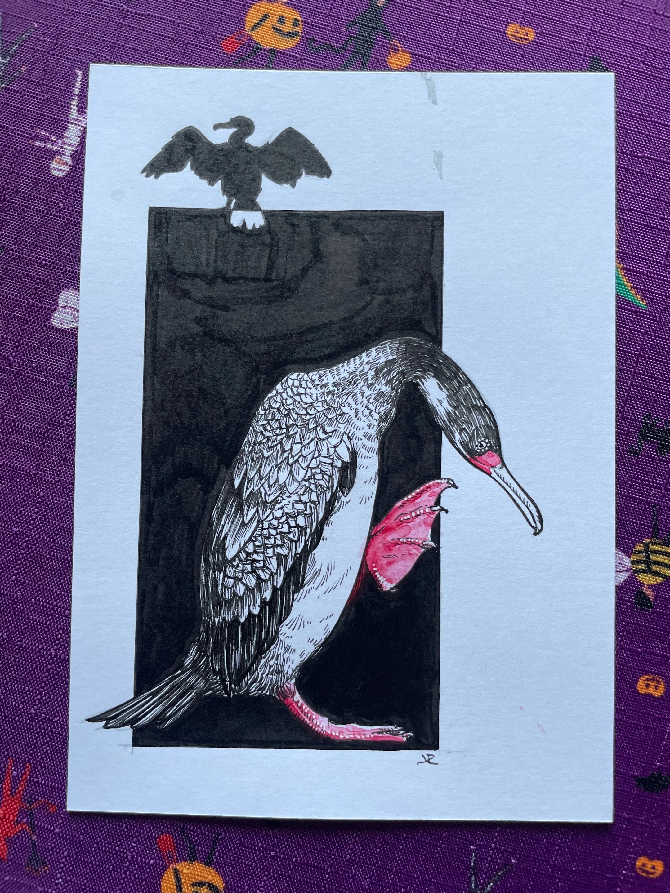 Zooctober 2024, Day 20: “Red-legged Cormorant”