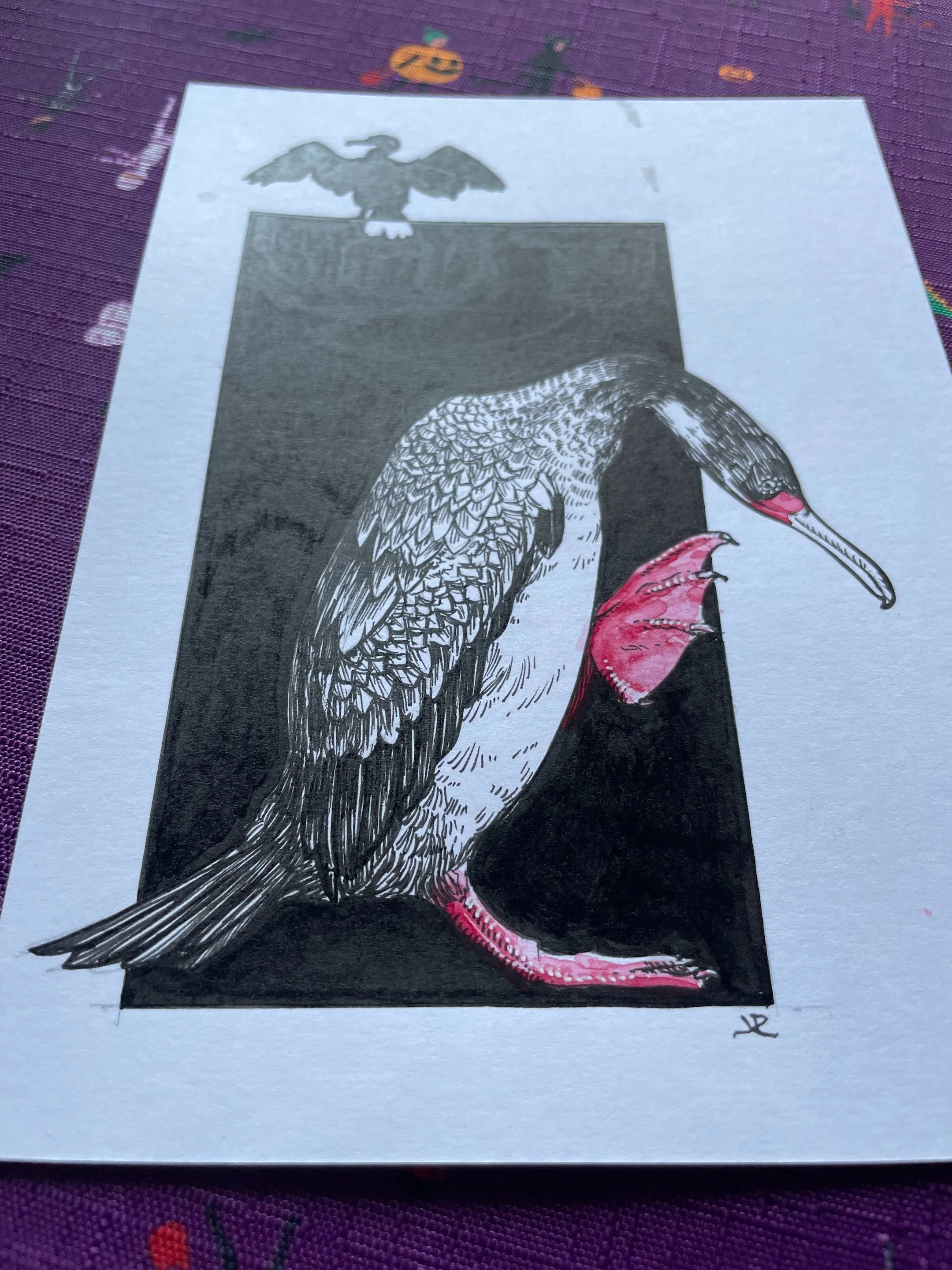 Zooctober 2024, Day 20: “Red-legged Cormorant”