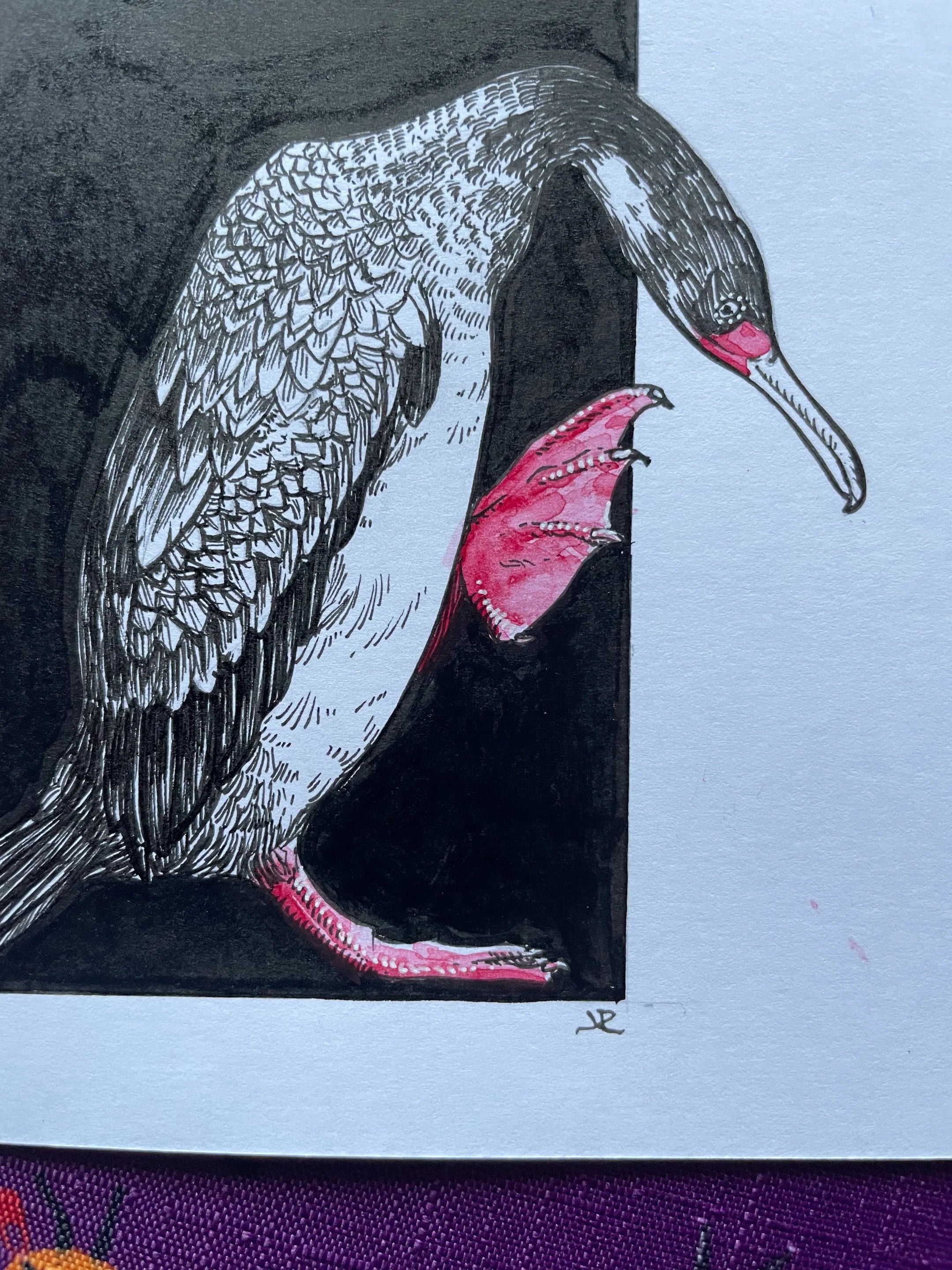 Zooctober 2024, Day 20: “Red-legged Cormorant”