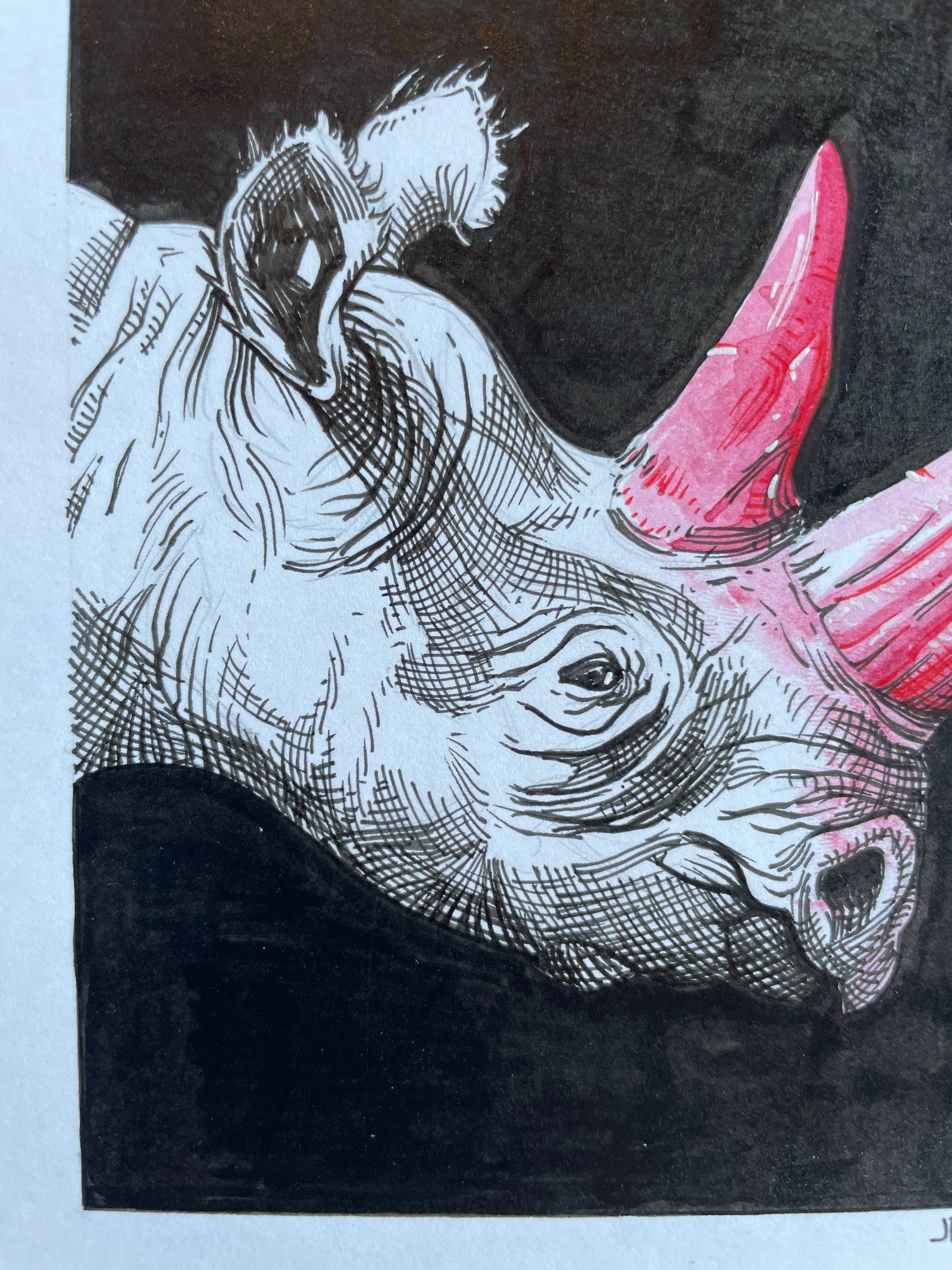 Zooctober 2024, Day 21: “Rhino”