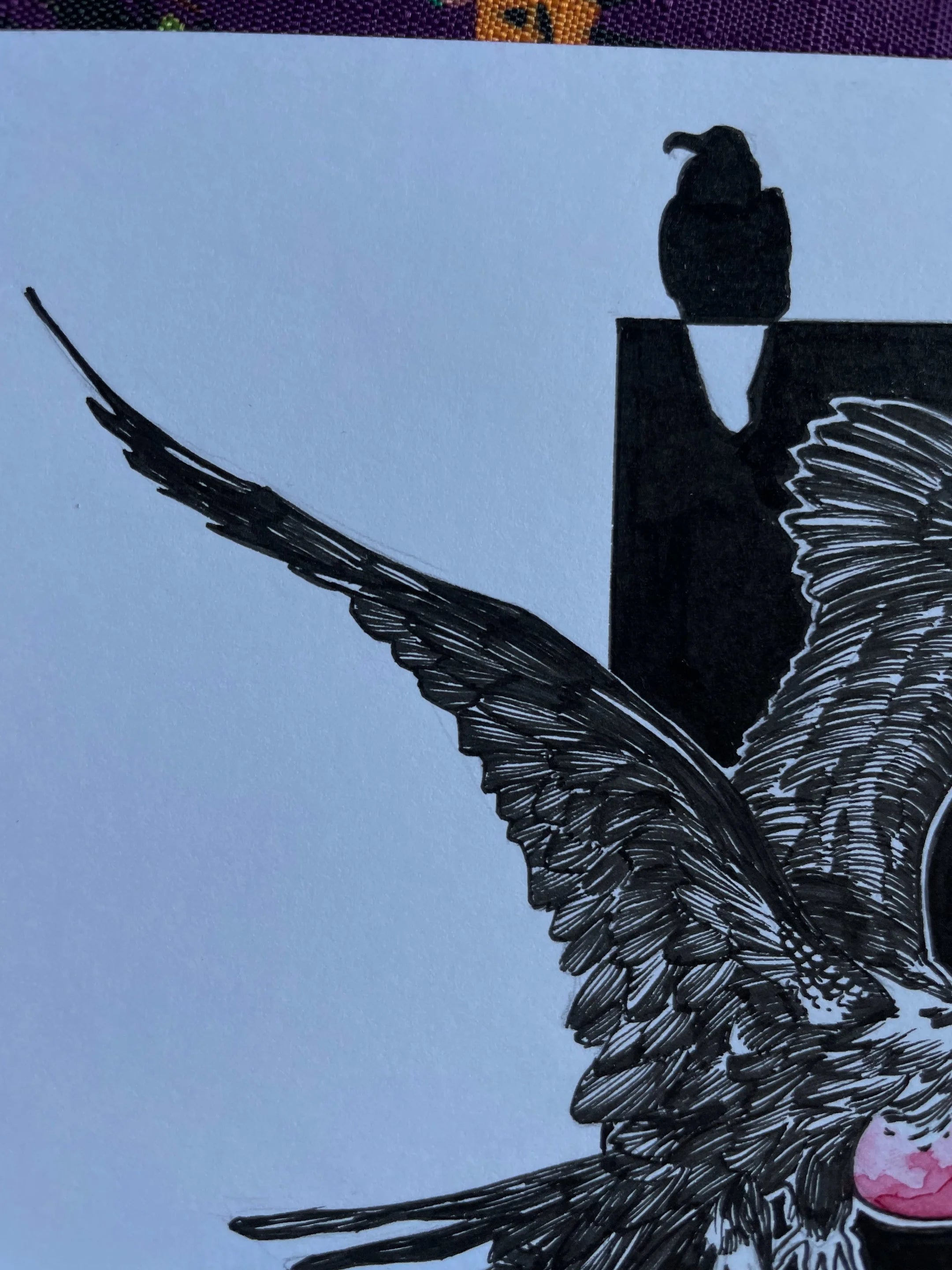 Zooctober 2024, Day 22: “Frigate Bird”