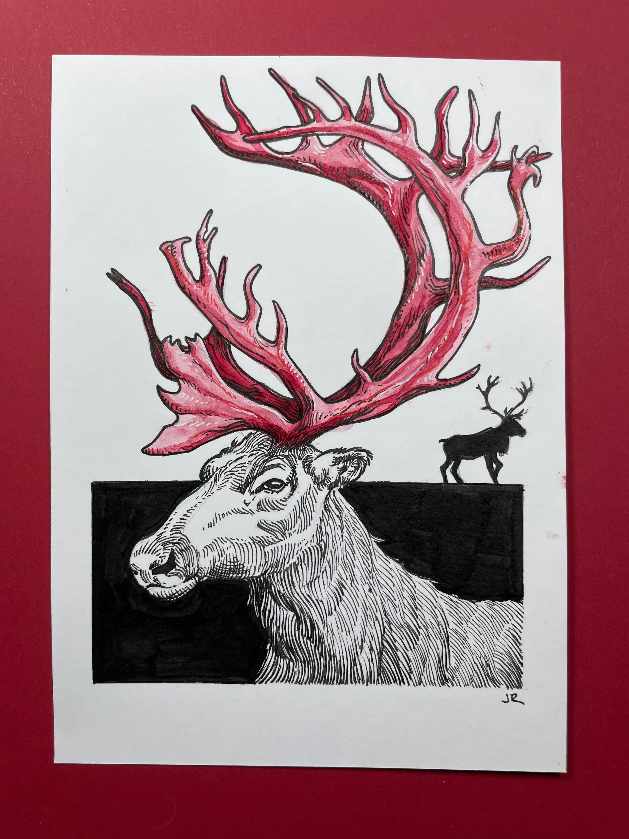 Zooctober 2024, Day 23: “Caribou”