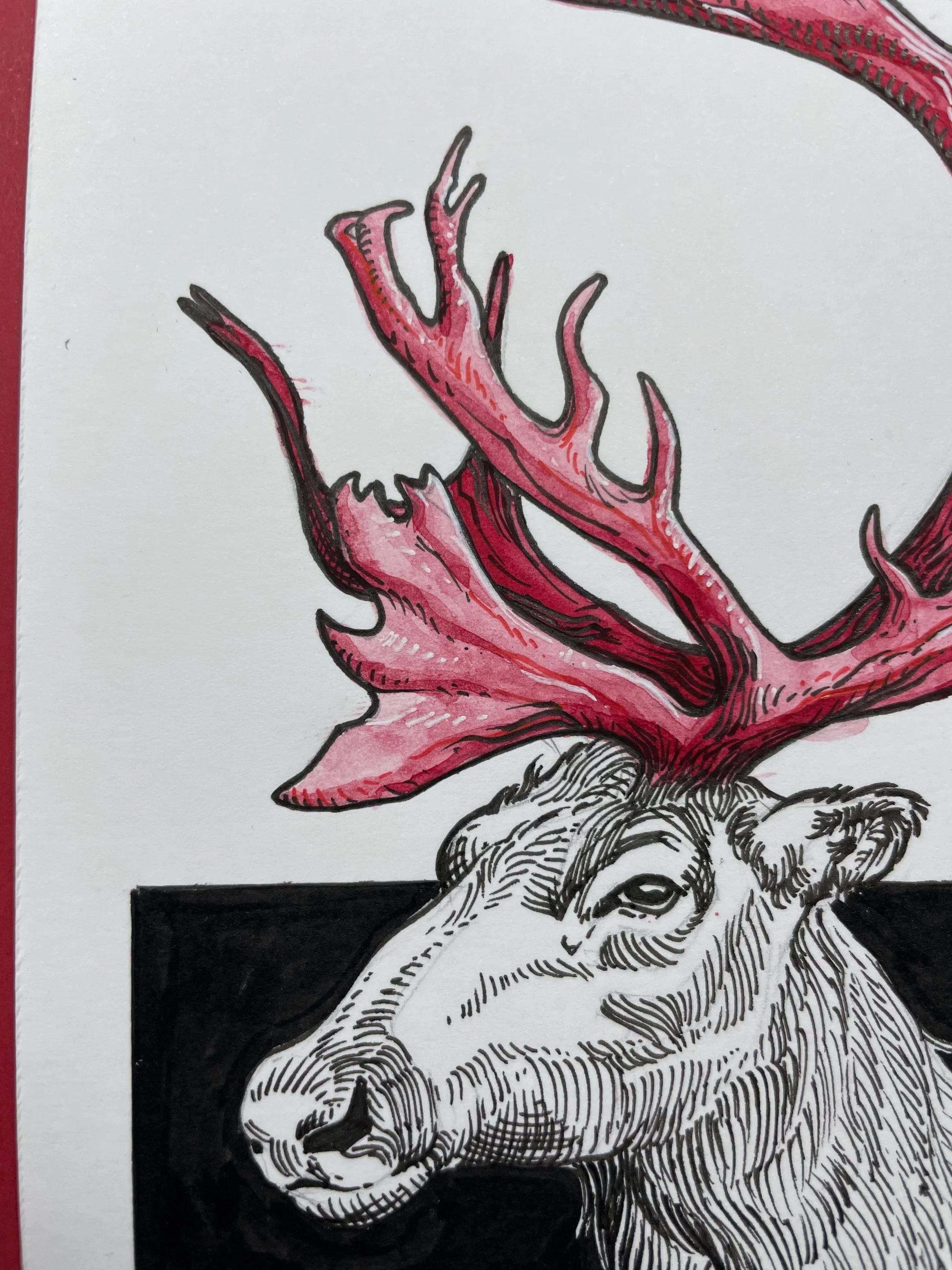 Zooctober 2024, Day 23: “Caribou”