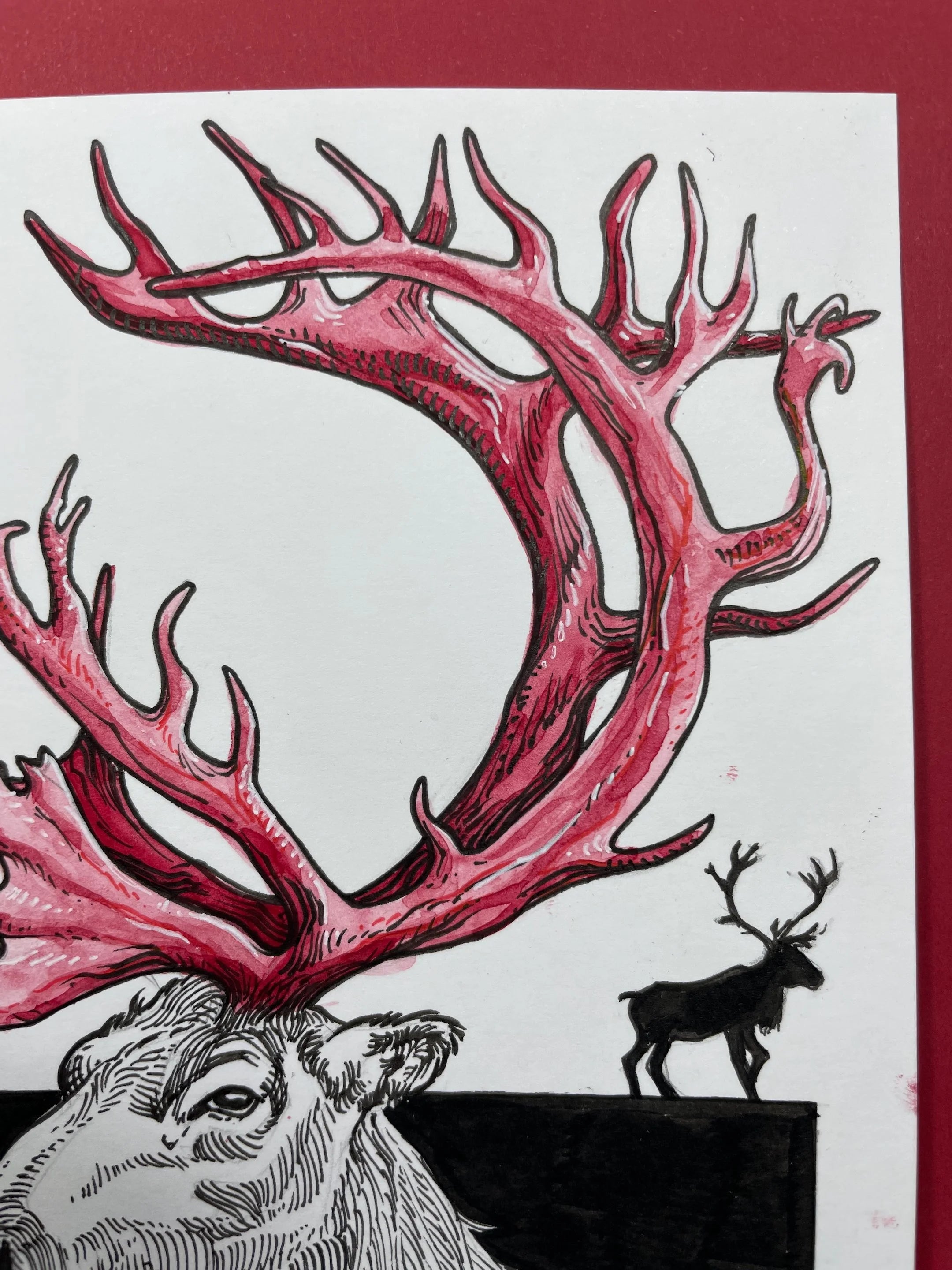 Zooctober 2024, Day 23: “Caribou”