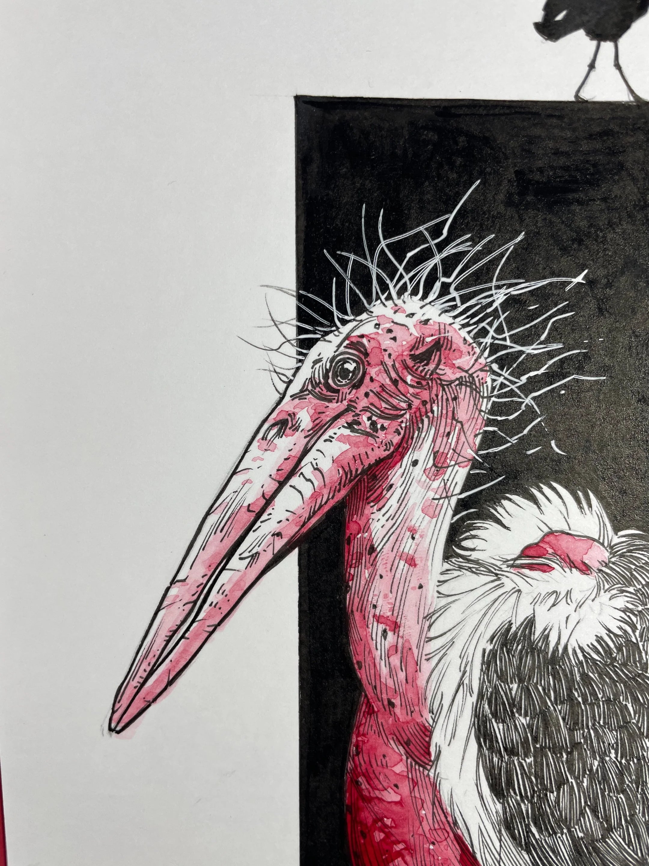 Zooctober 2024, Day 24: “Marabou”