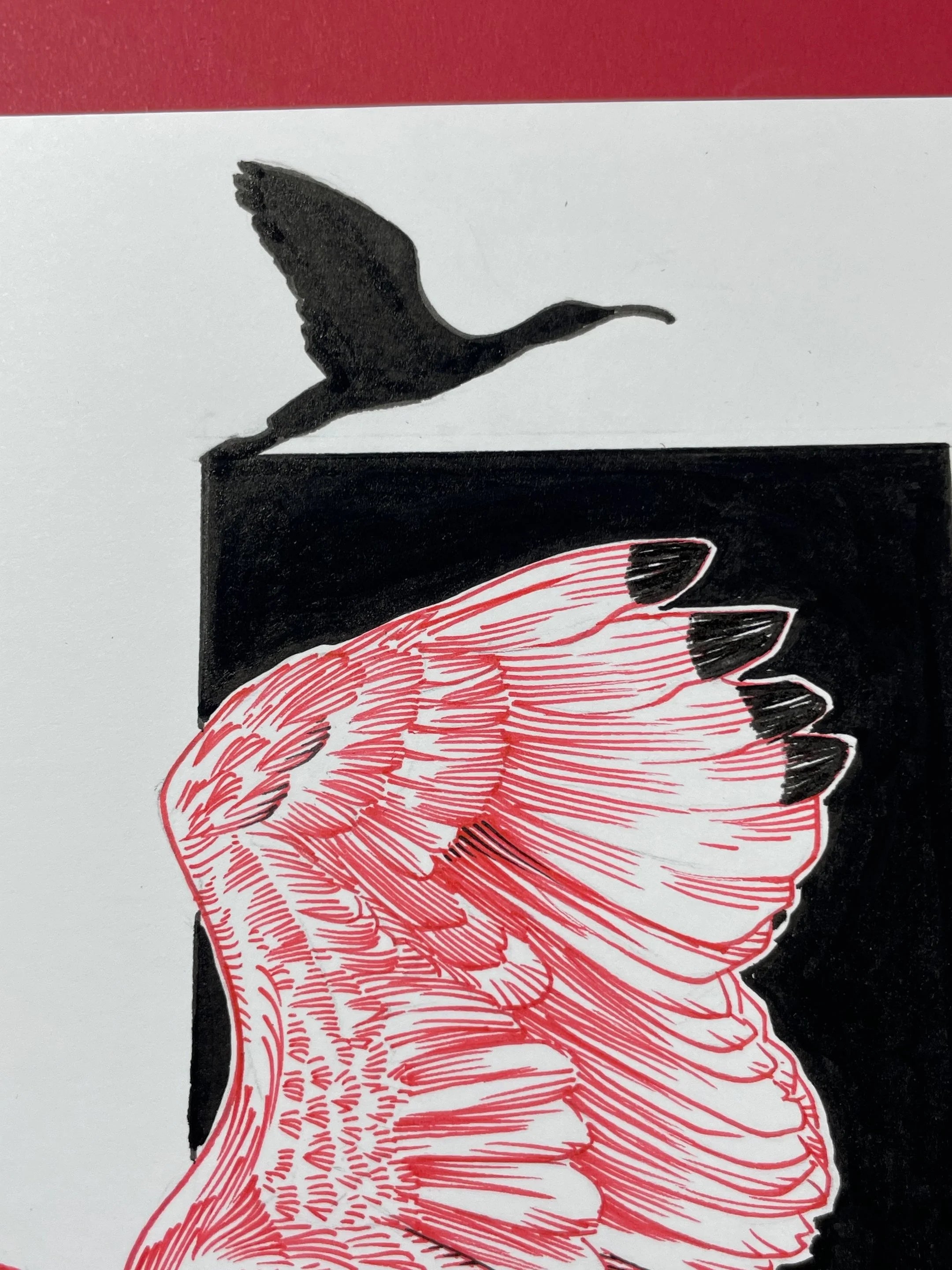 Zooctober 2024, Day 26: “Ibis”