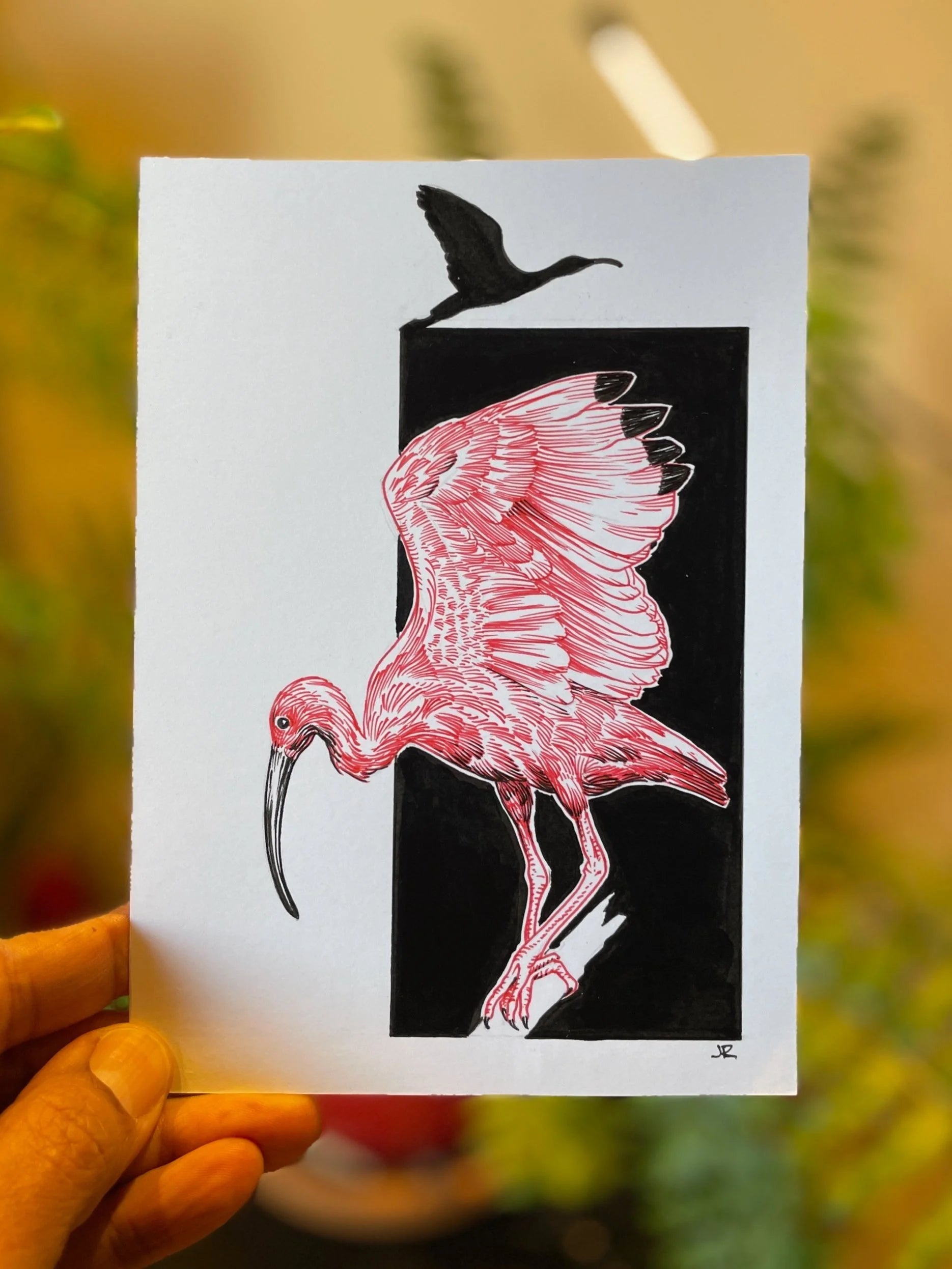 Zooctober 2024, Day 26: “Ibis”