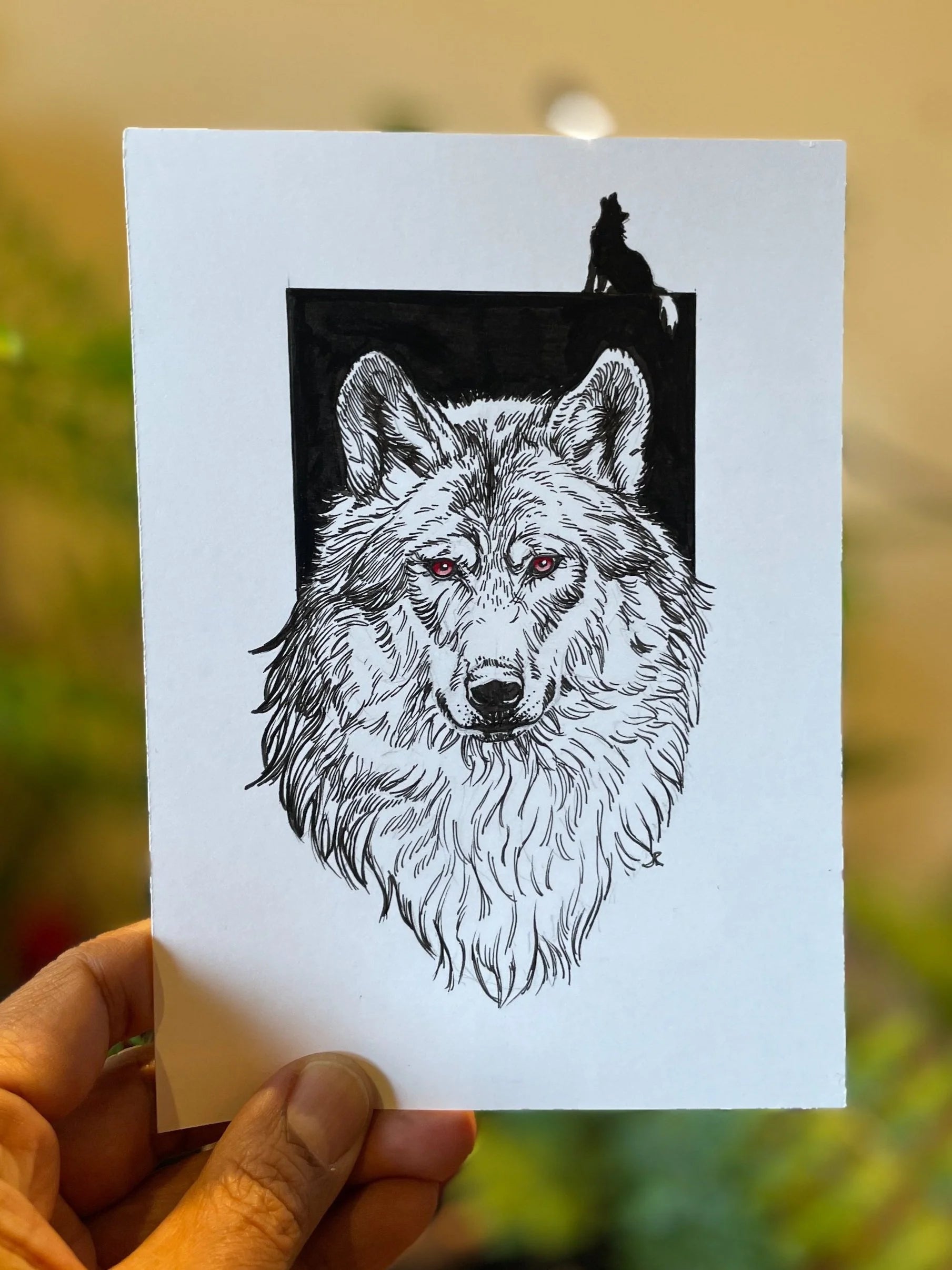 Zooctober 2024, Day 27: “Wolf”