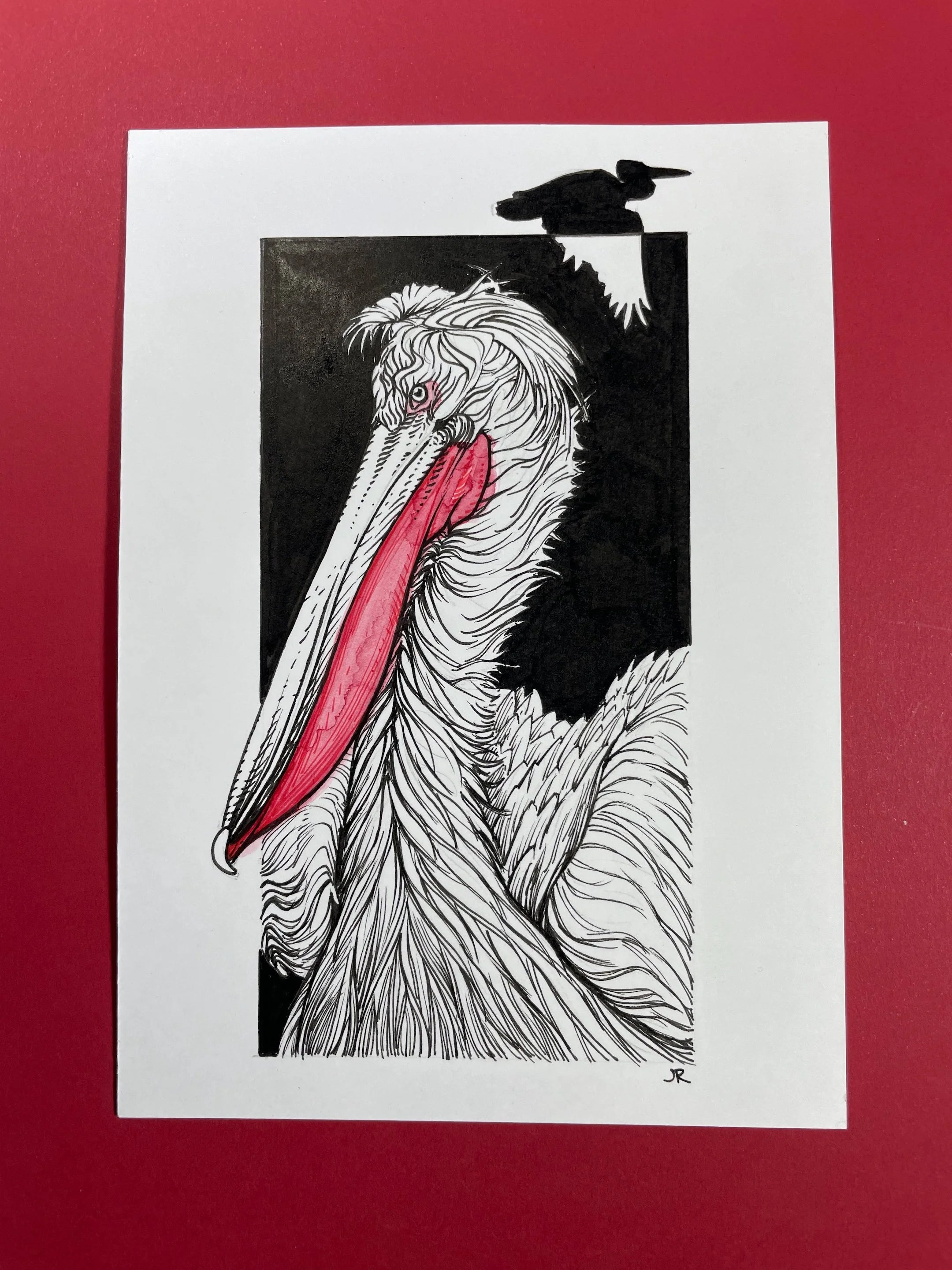 Zooctober 2024, Day 28: “Dalmatian Pelican”