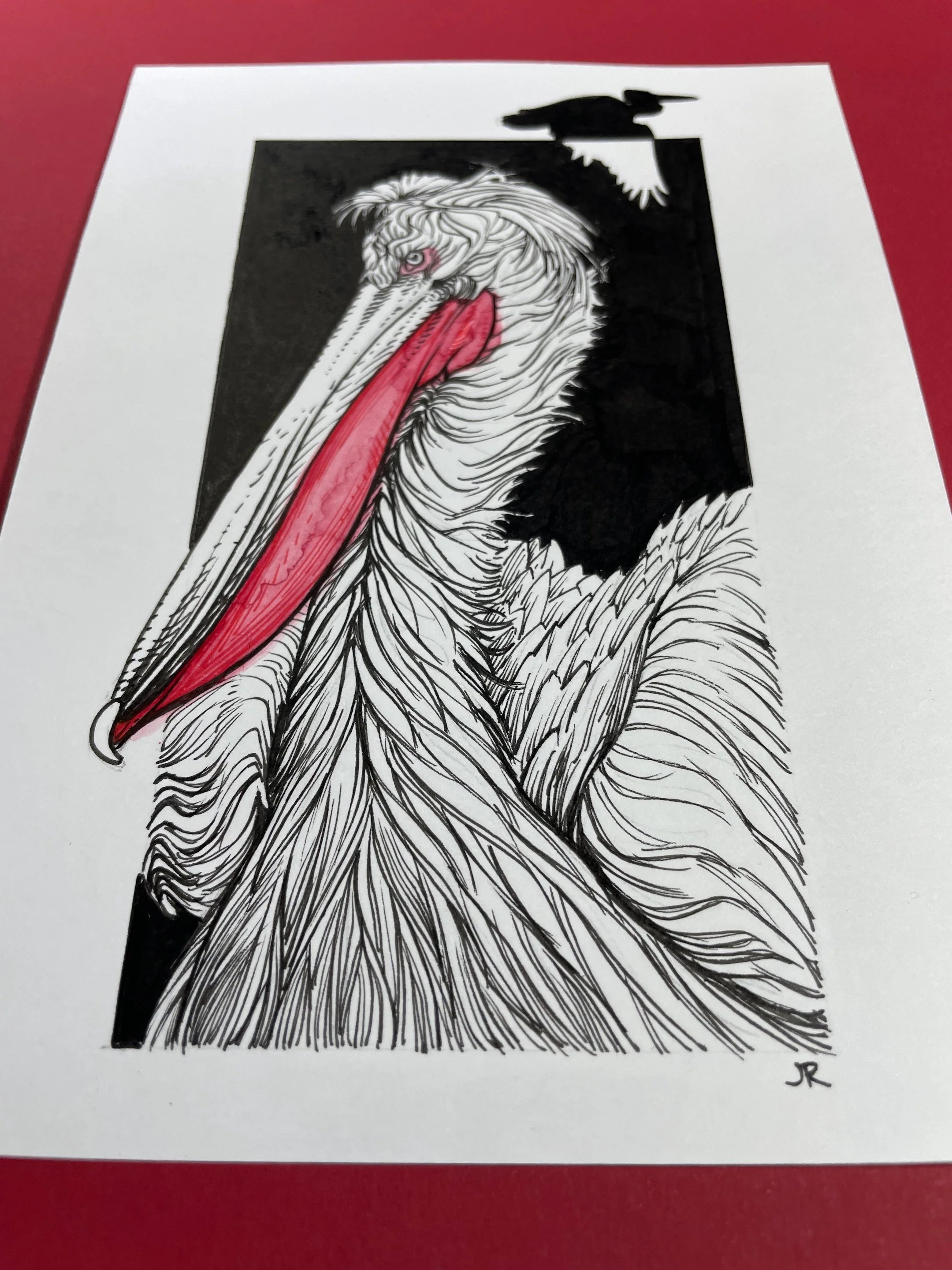 Zooctober 2024, Day 28: “Dalmatian Pelican”